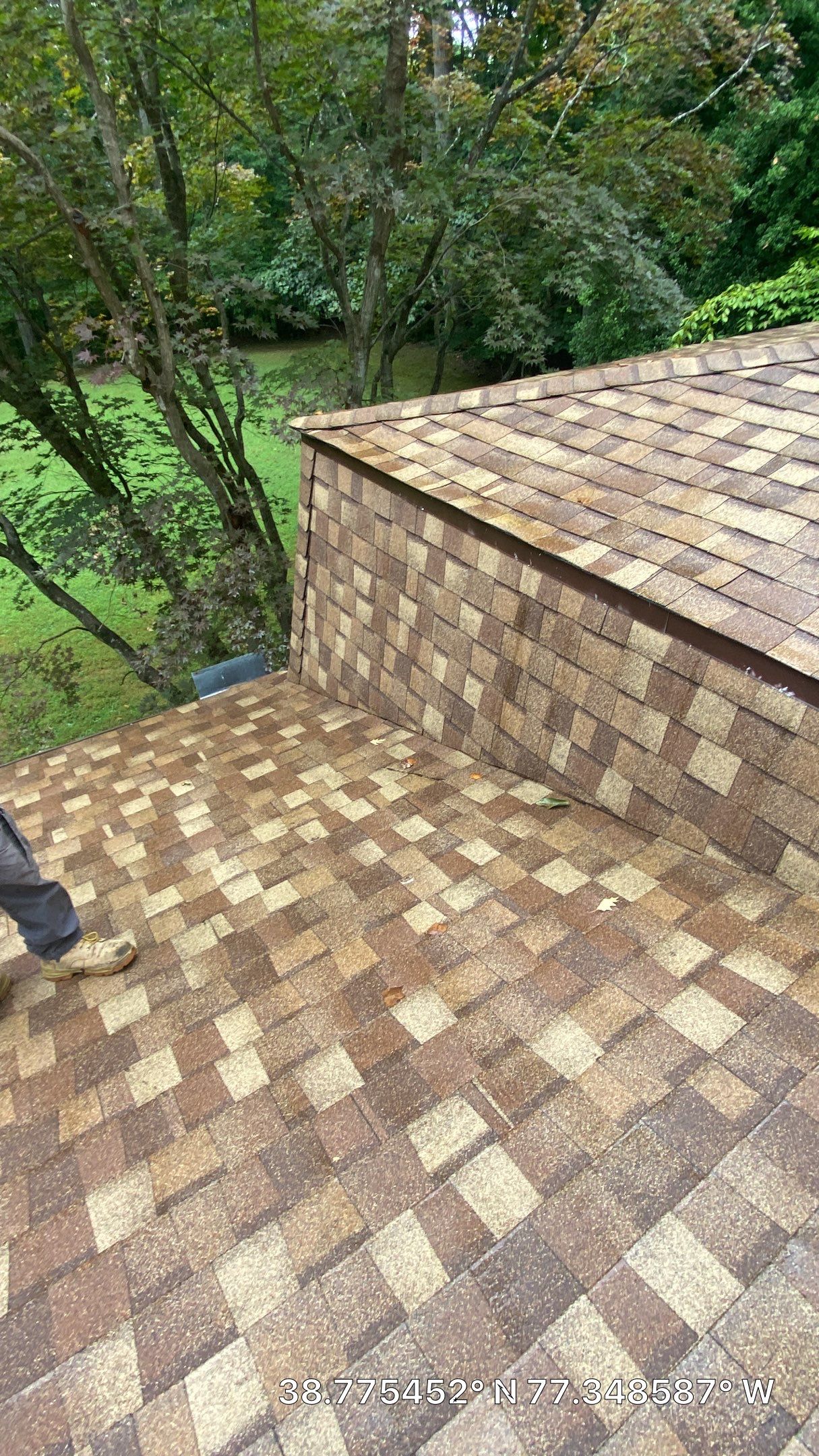 Fairfax Station: CertainTeed Landmark Pro Designer Shingles in Max Def Resawn Shake by RM Banning, Inc.