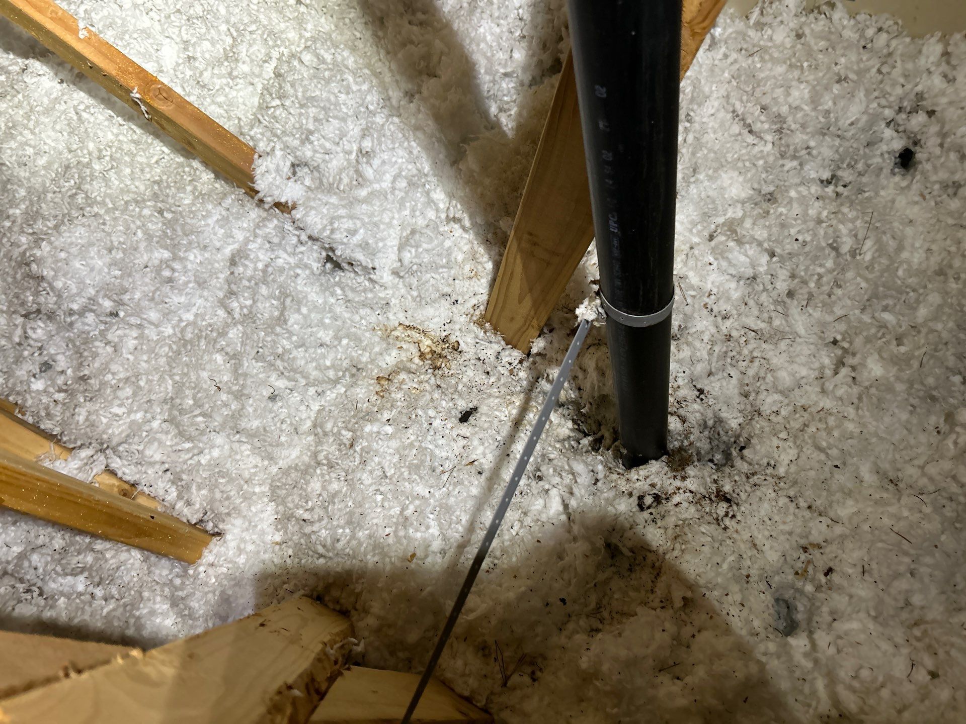 Emergency Leak Repair in Portland by Prodigy Roof Solutions