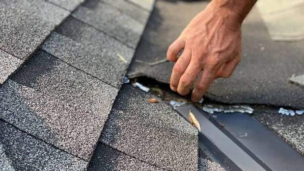 Architectural Shingle Roof Replacement and Interior Updates in Malmo by Customer Success Demo Account