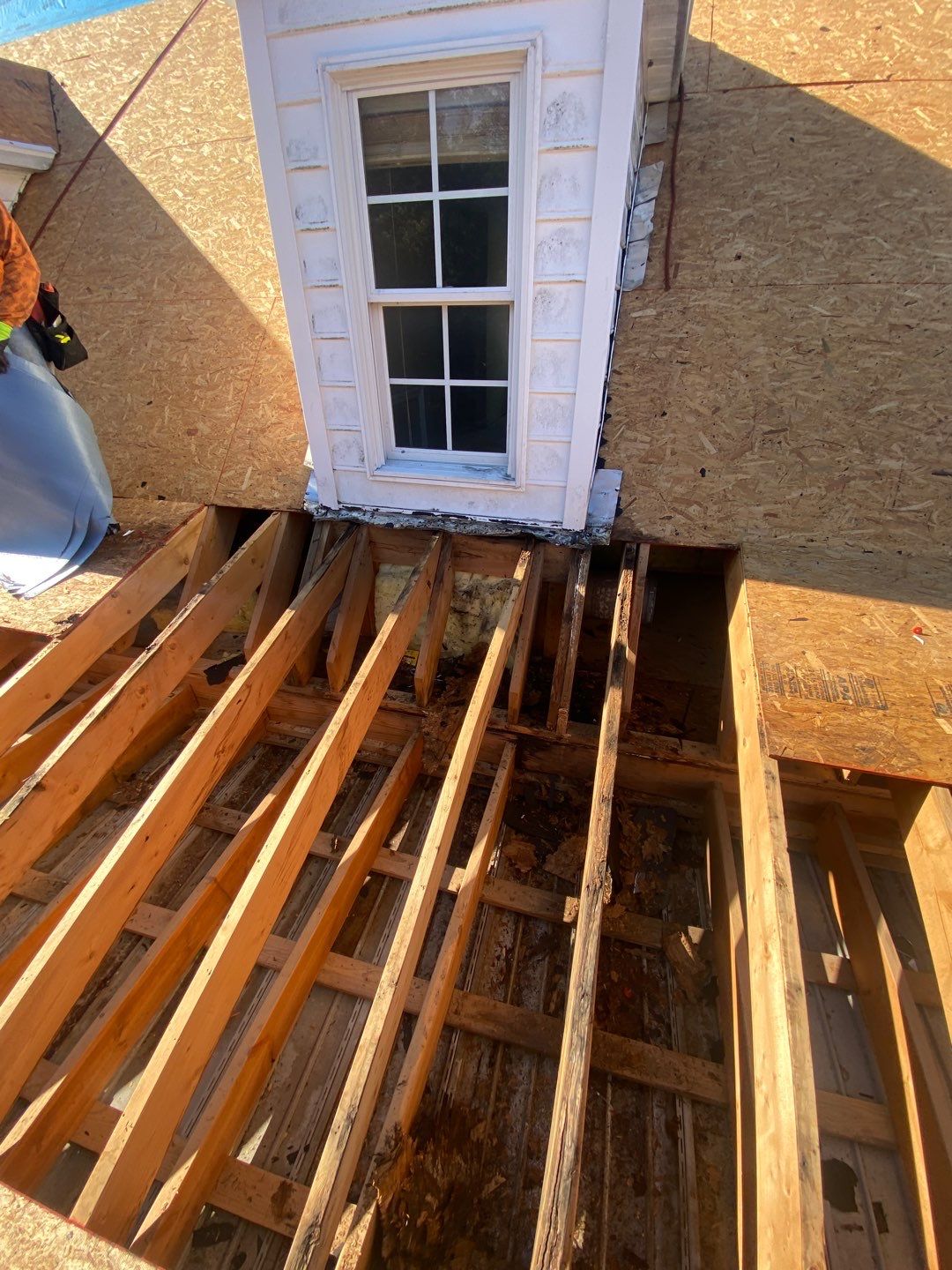 Project in Creedmoor - Certainteed Landmark Silver Birch by Pro Performance Roofing