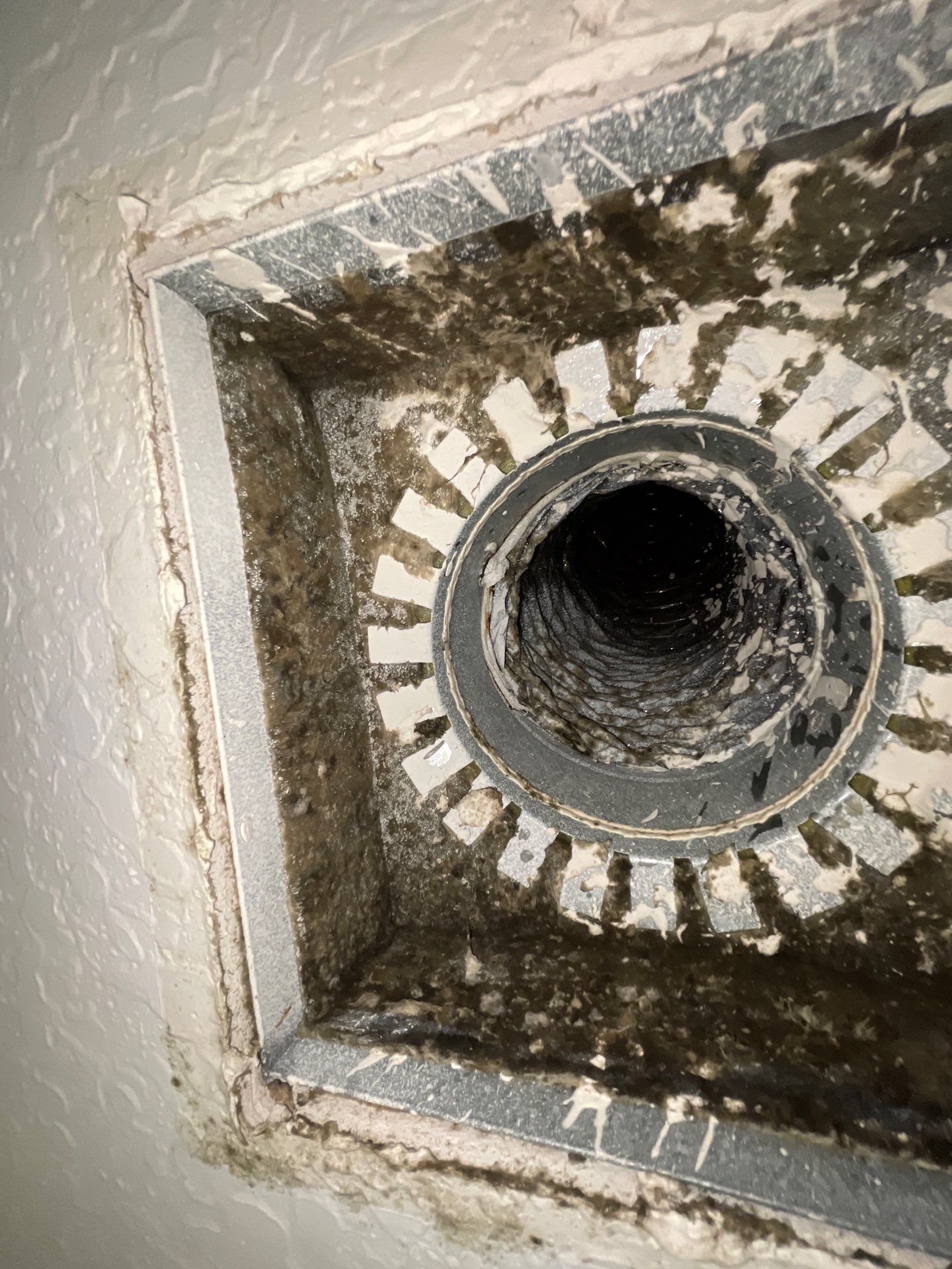Air Duct Cleaning in Leesburg by Hygienic Air, Inc