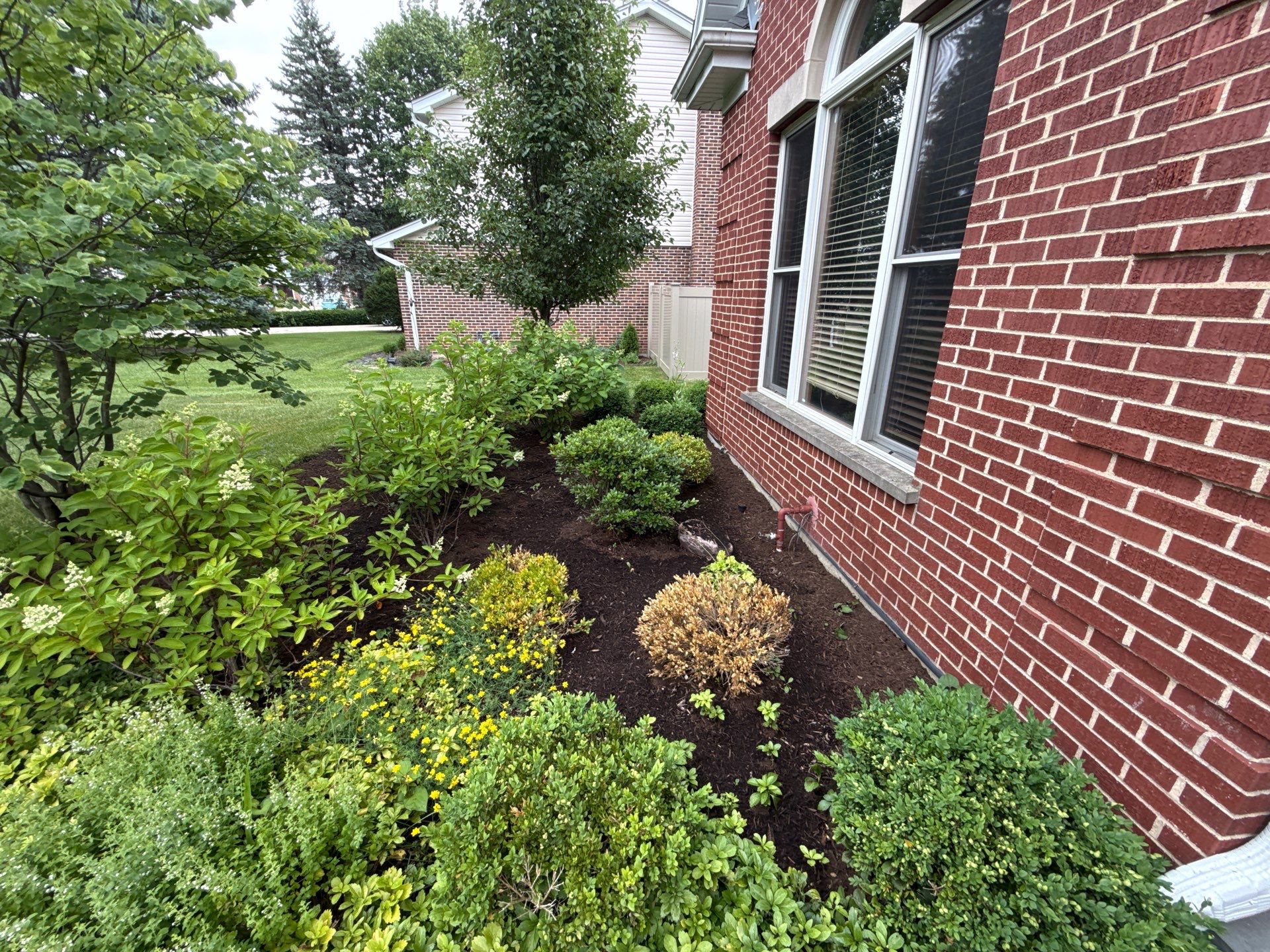 Rob M. - Arlington Heights, IL by A&N 