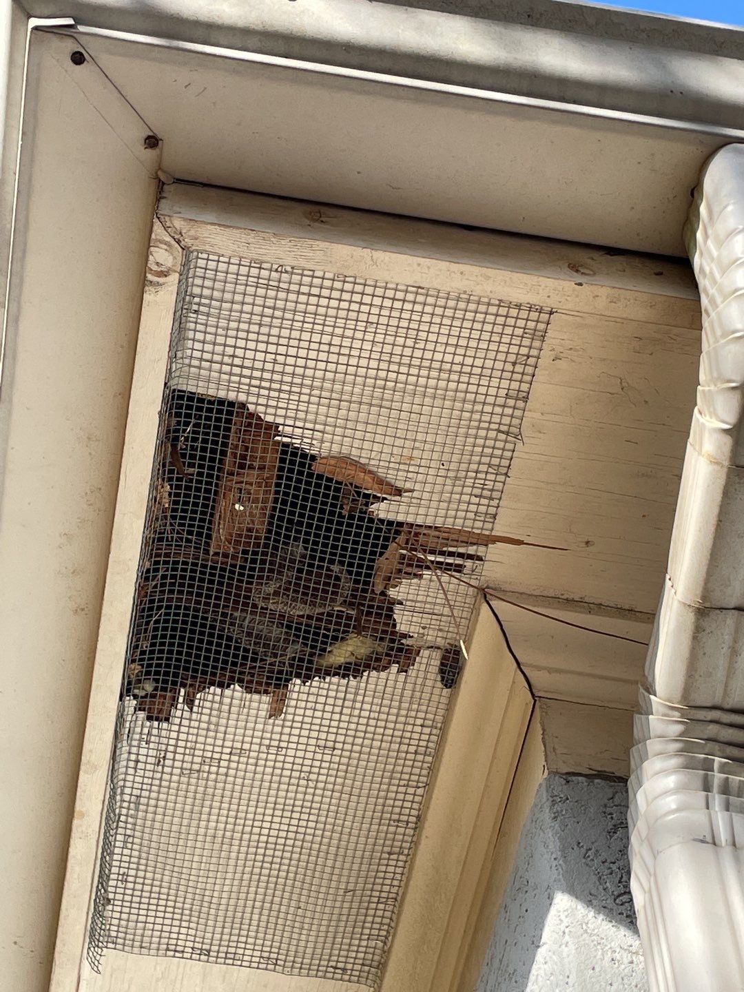 Residential Roofing Installation using Owens Corning by Inspector Roofing and Restoration