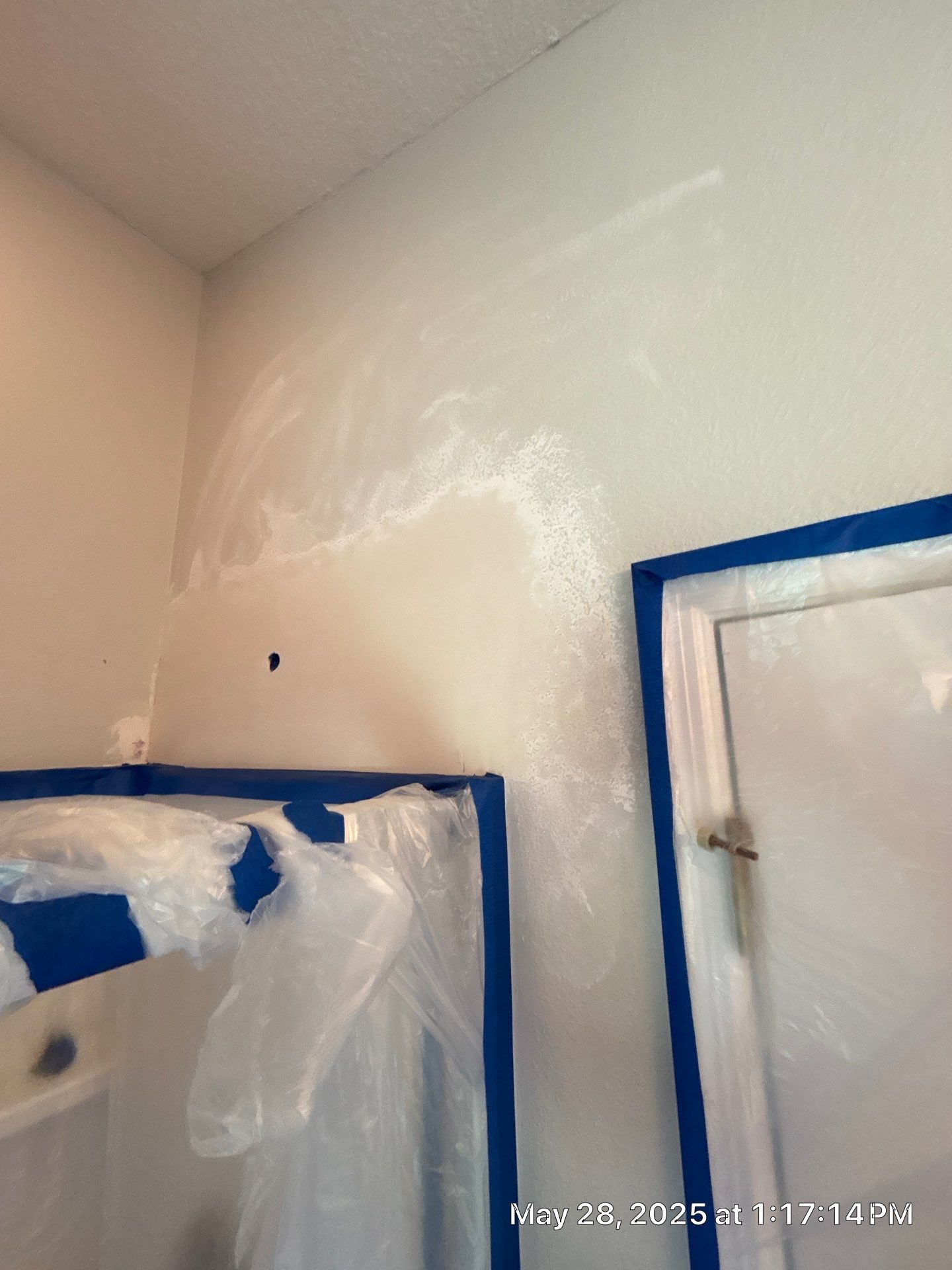 Tampa Mold Removal by Ampm Restoration Services
