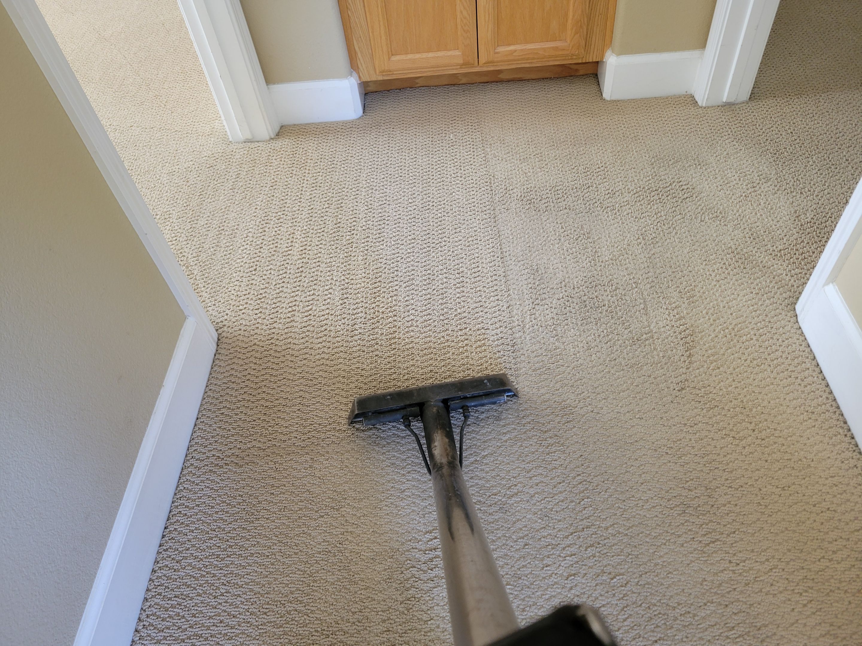 Looped-pile Carpet Cleaning by Ardent Carpet Restore LLC