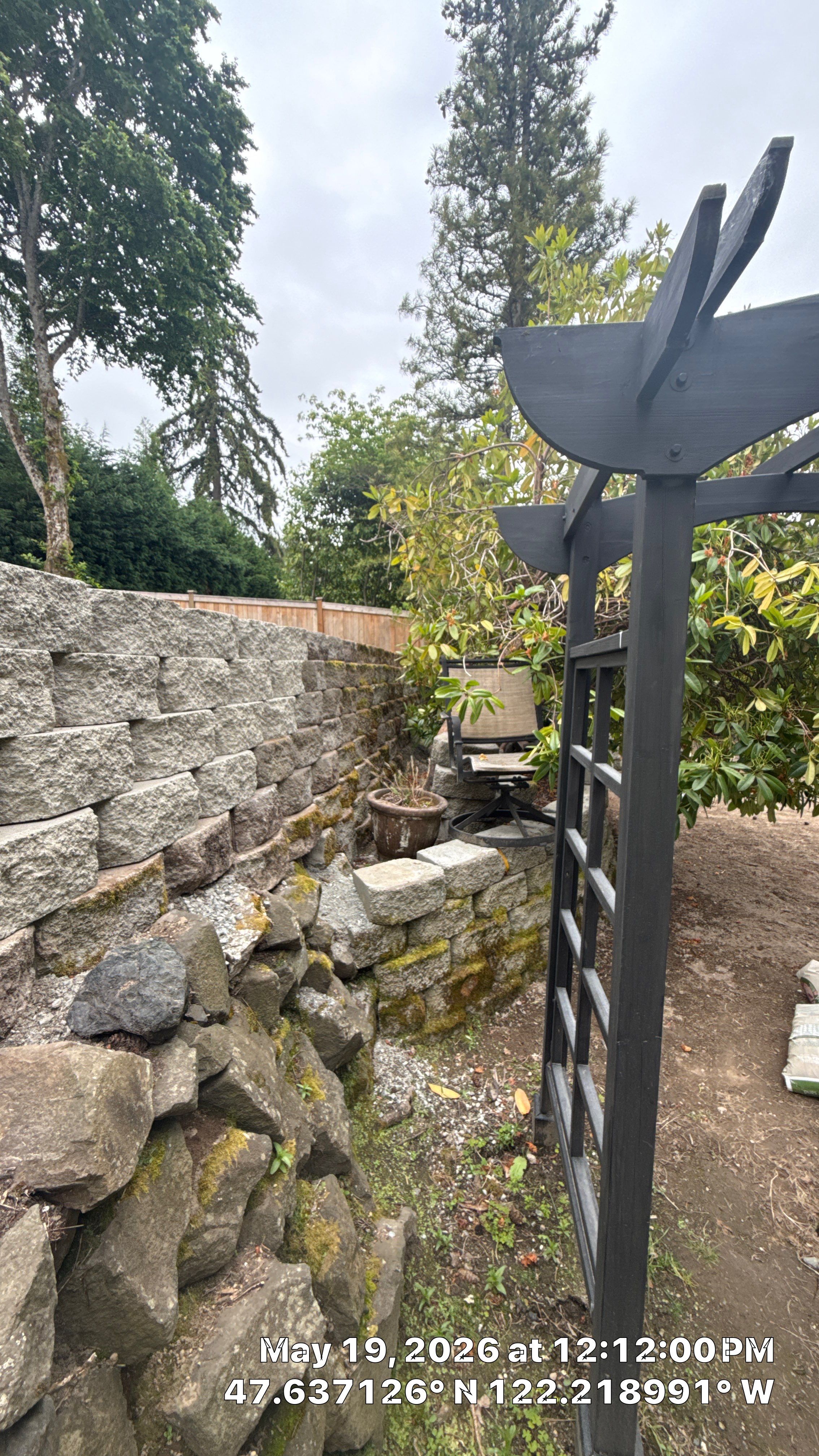 Construction Impact Assessment and Tree Evaluation in Clyde Hill by Sound Tree Care LLC