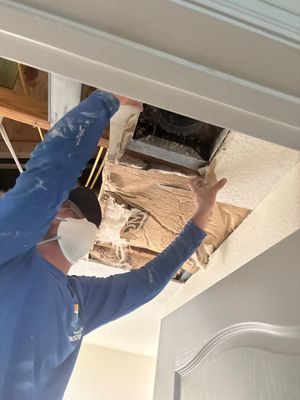 Mold Damage Inspection And Removal In North Port, FL 
