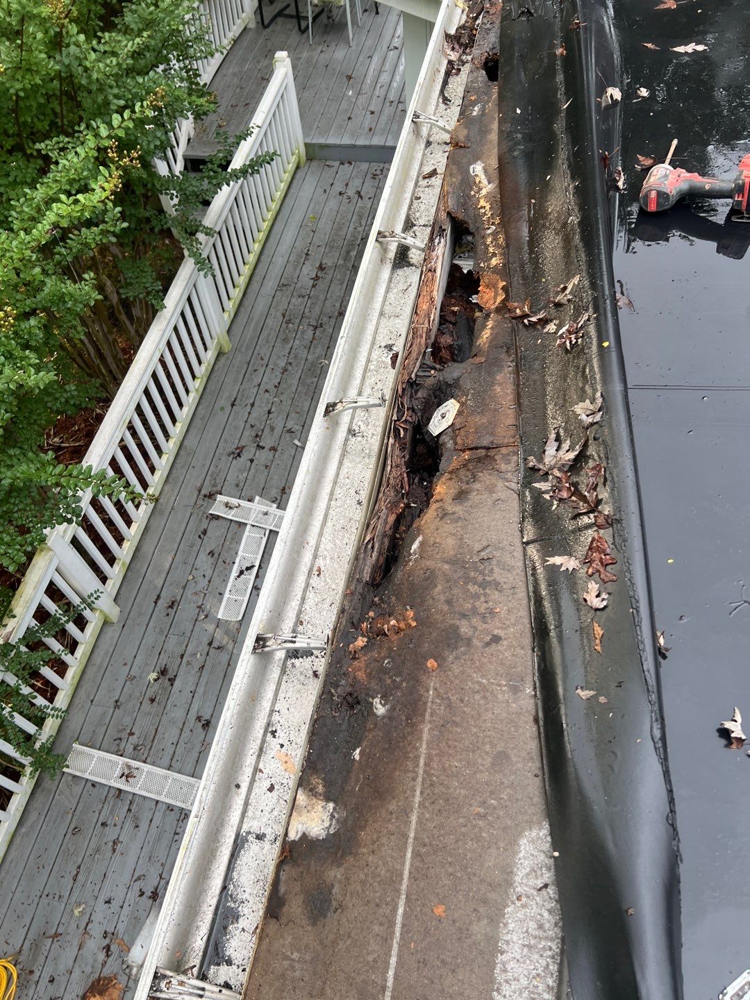 Alexandria: Residential Flat Roof Replacement with MuleHide TPO by RM Banning, Inc.