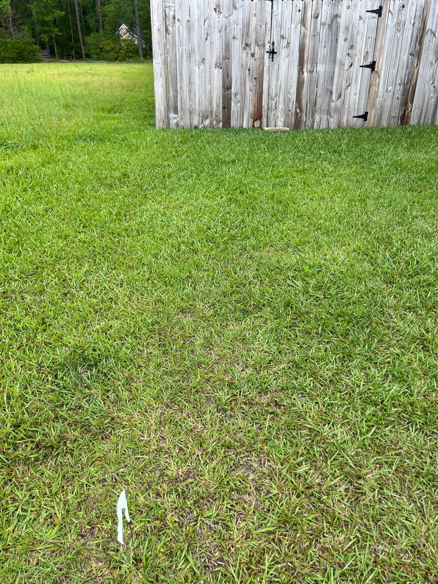 Hamilton Vinyl Privacy Project in Havelock by Superior Fence and Rail