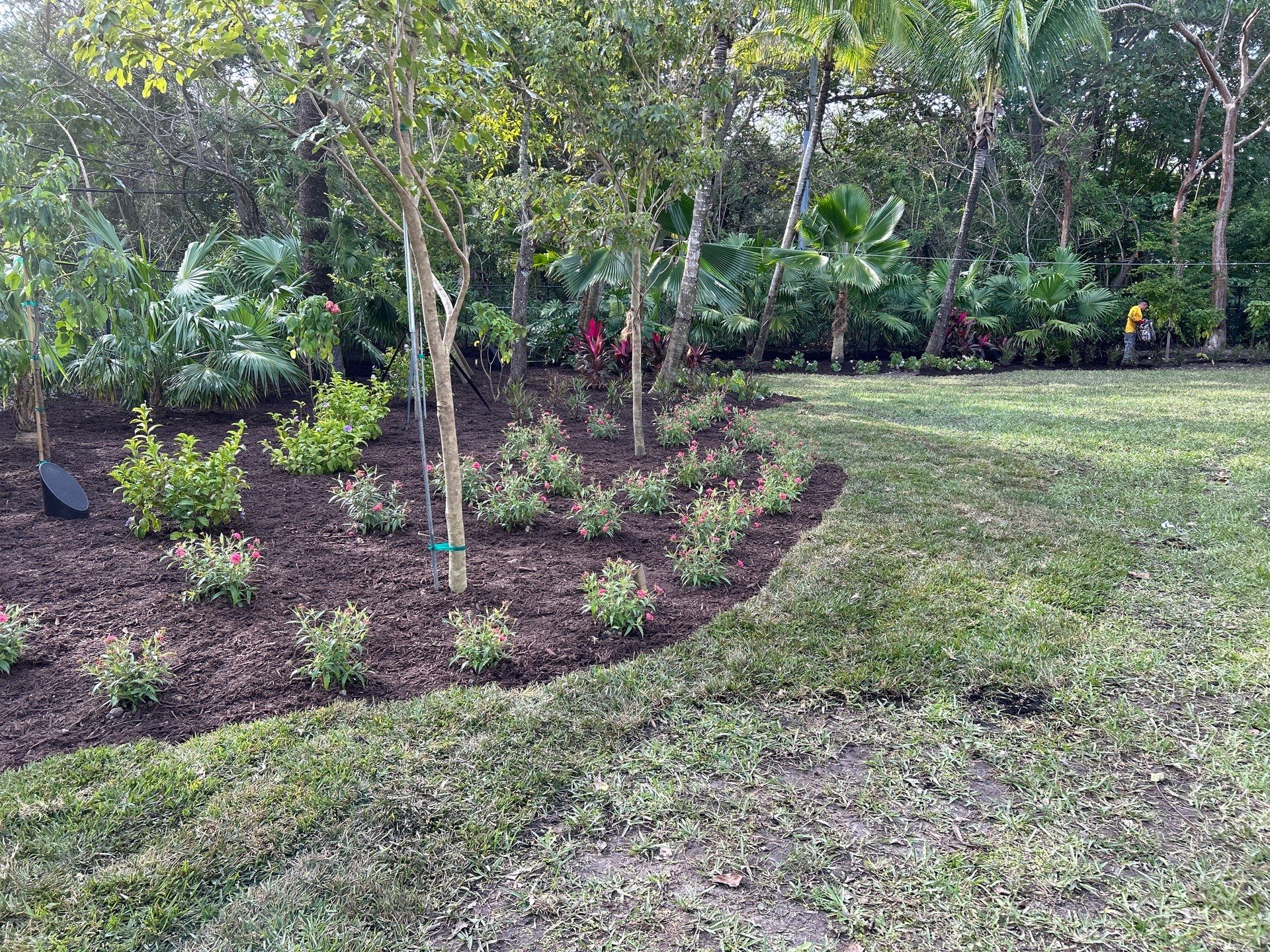 Landscape on New Home in Pinecrest, FL by Nature's Dream Landscape and Tree Service