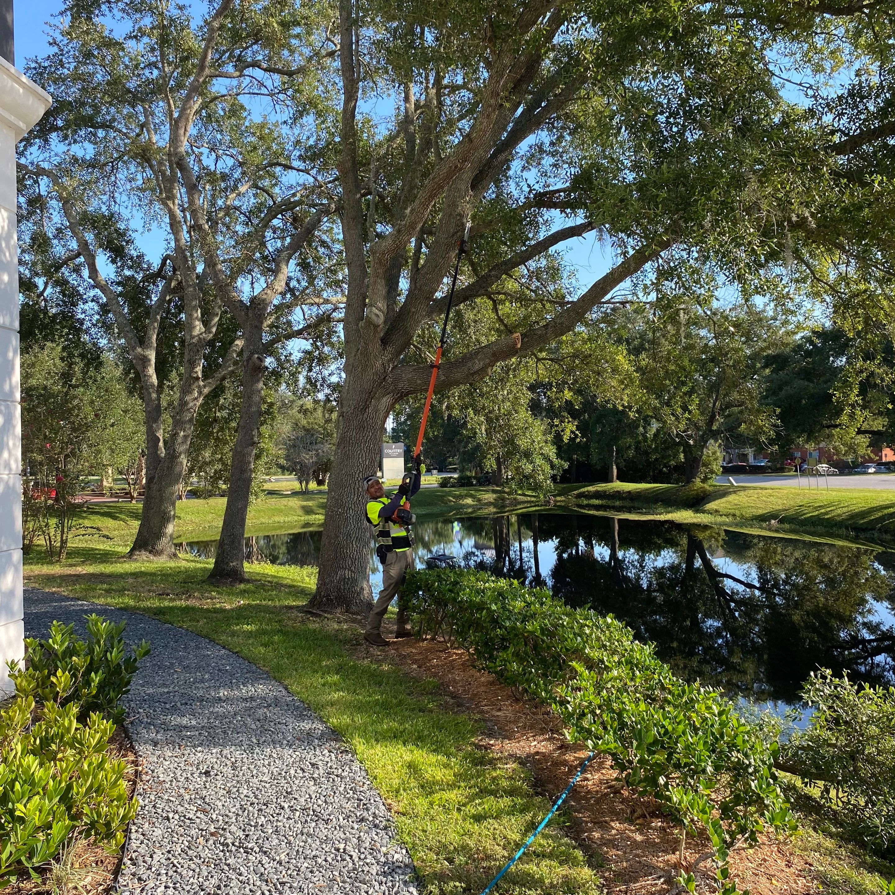 Tree & Shrub Removal | Marriott Hotel by ProGreen Services