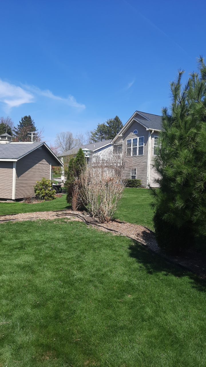 Tree Removal using Tree Removal by Mike Jones & Sons Tree Service LLC 