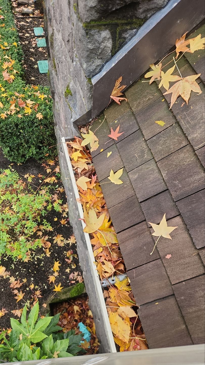 Gutter Guard Installation using Gutter Glove by Willamette Outdoor Wash LLC