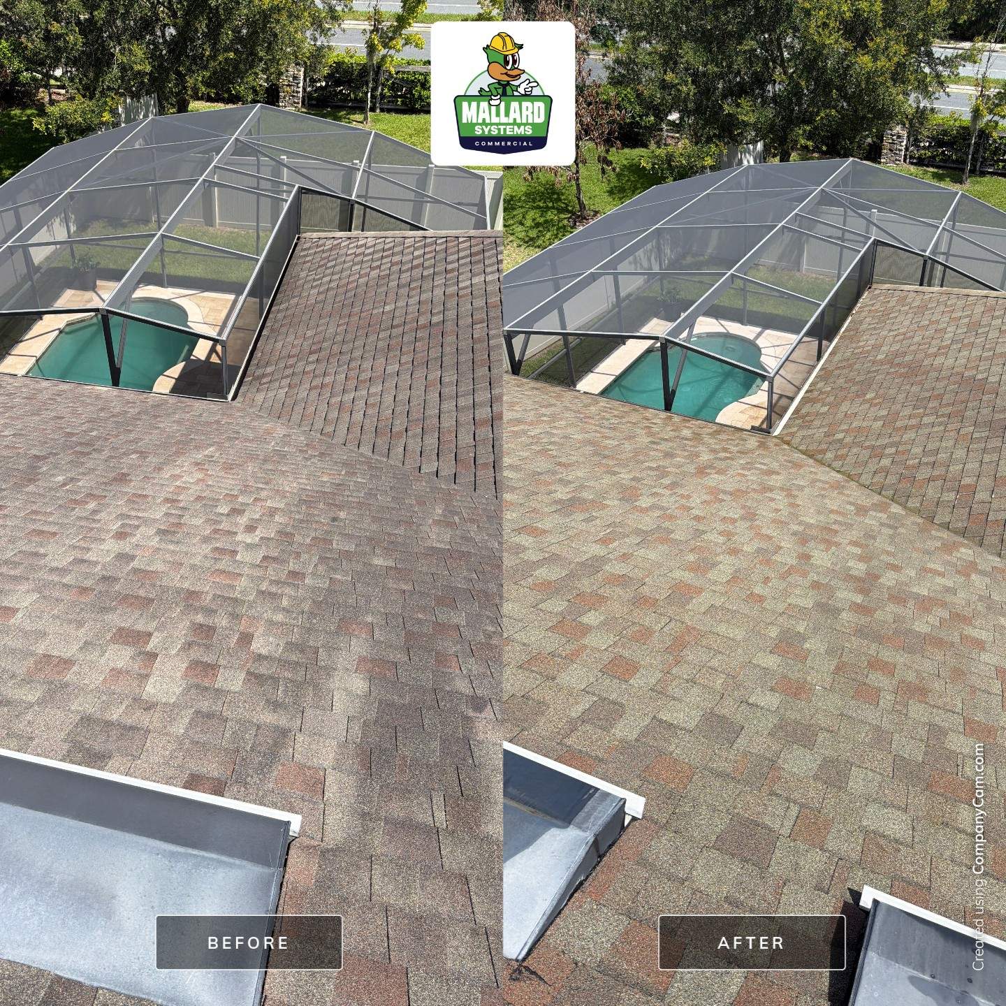 Professional Roof and Exterior Surface Cleaning in Clermont by Mallard Systems
