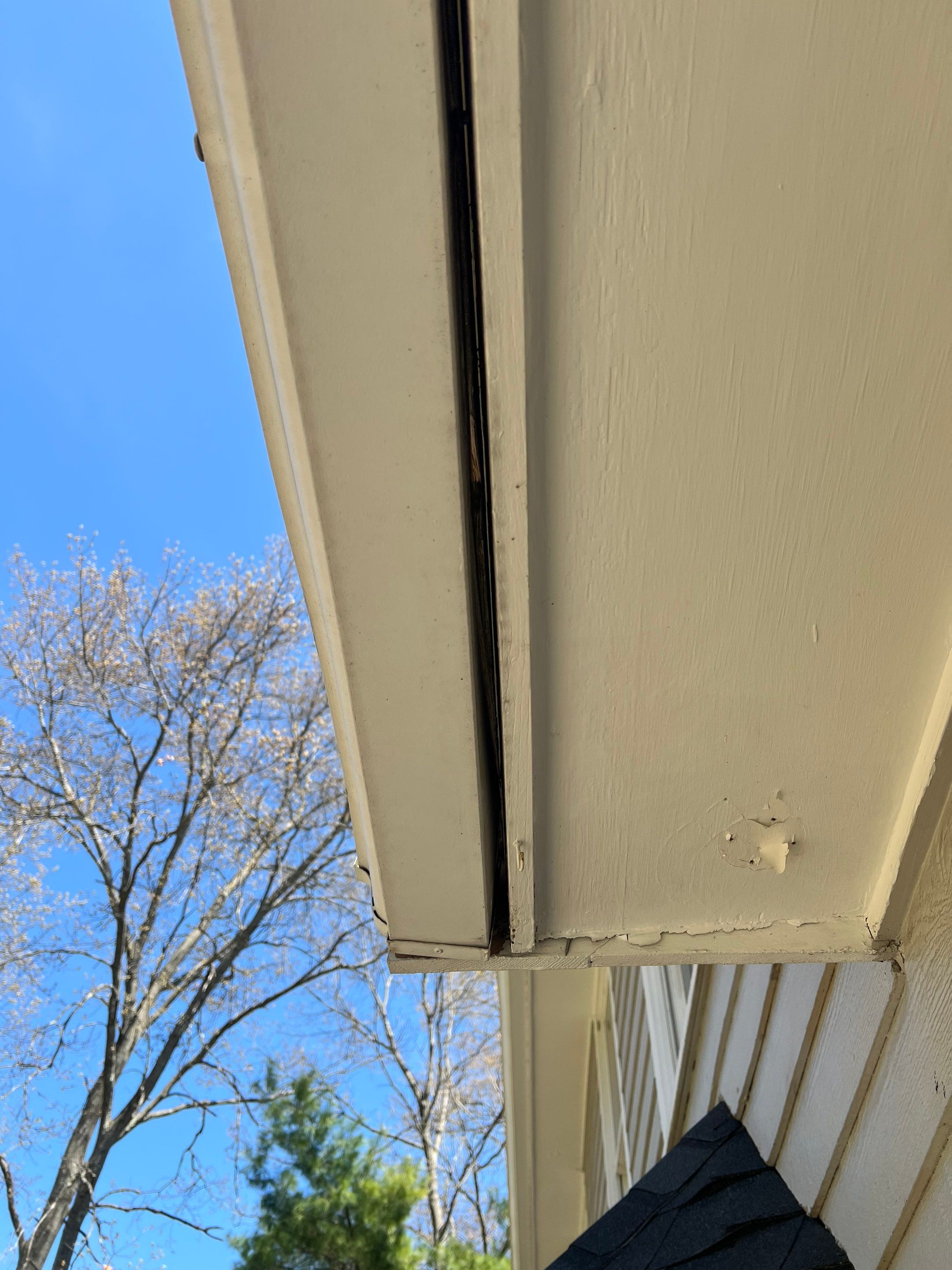 Gutters, Roofing & Siding | Andover by Mighty Dog Roofing of Greater Middlesex County