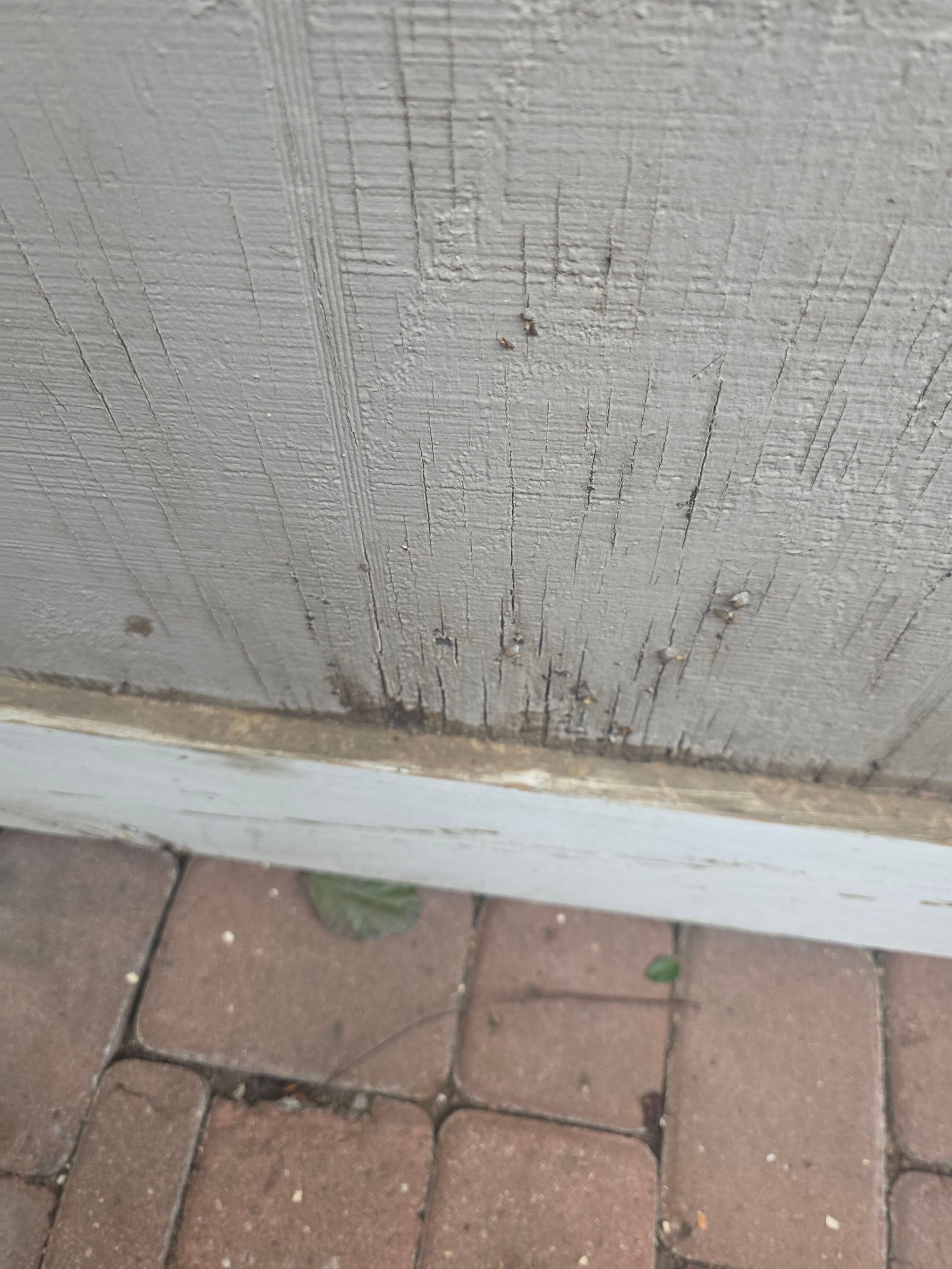 Budget friendly repair by REPS Austin Area Roofer