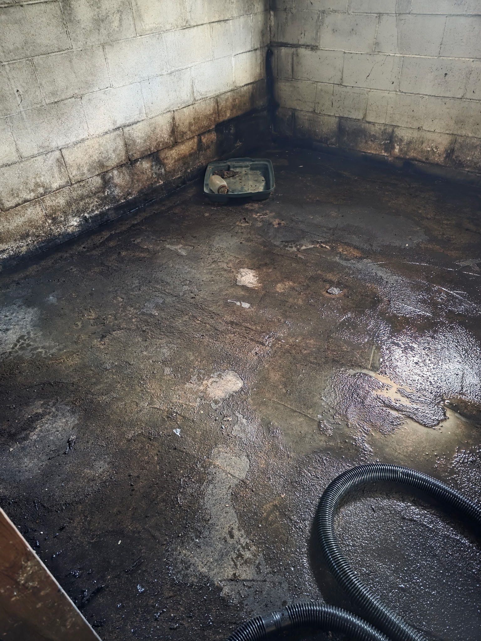 Taking Back Your basement by Local waterproofing And Concrete