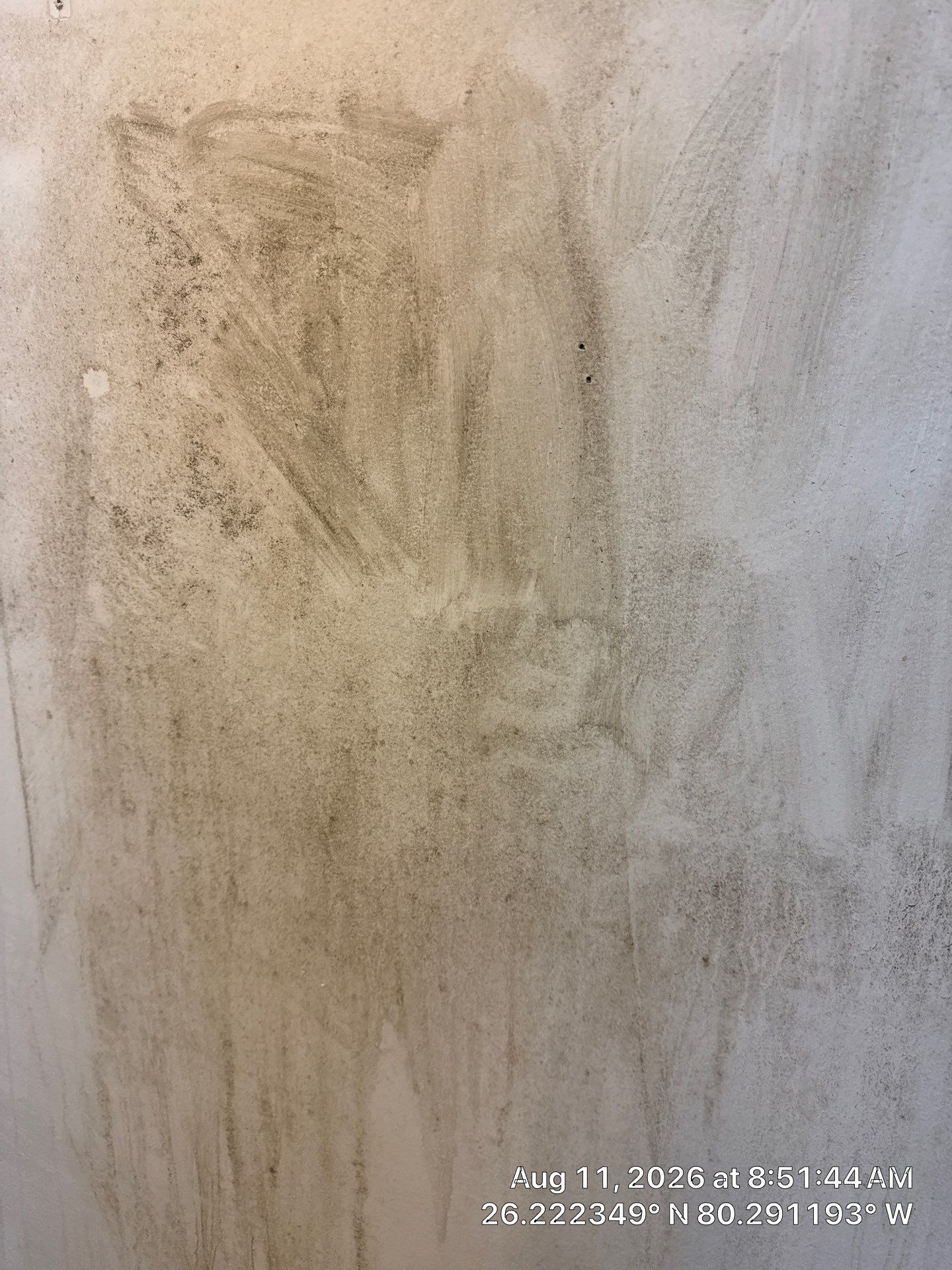 Comprehensive Mold Remediation and Moisture Control in Tamarac by SuperClean