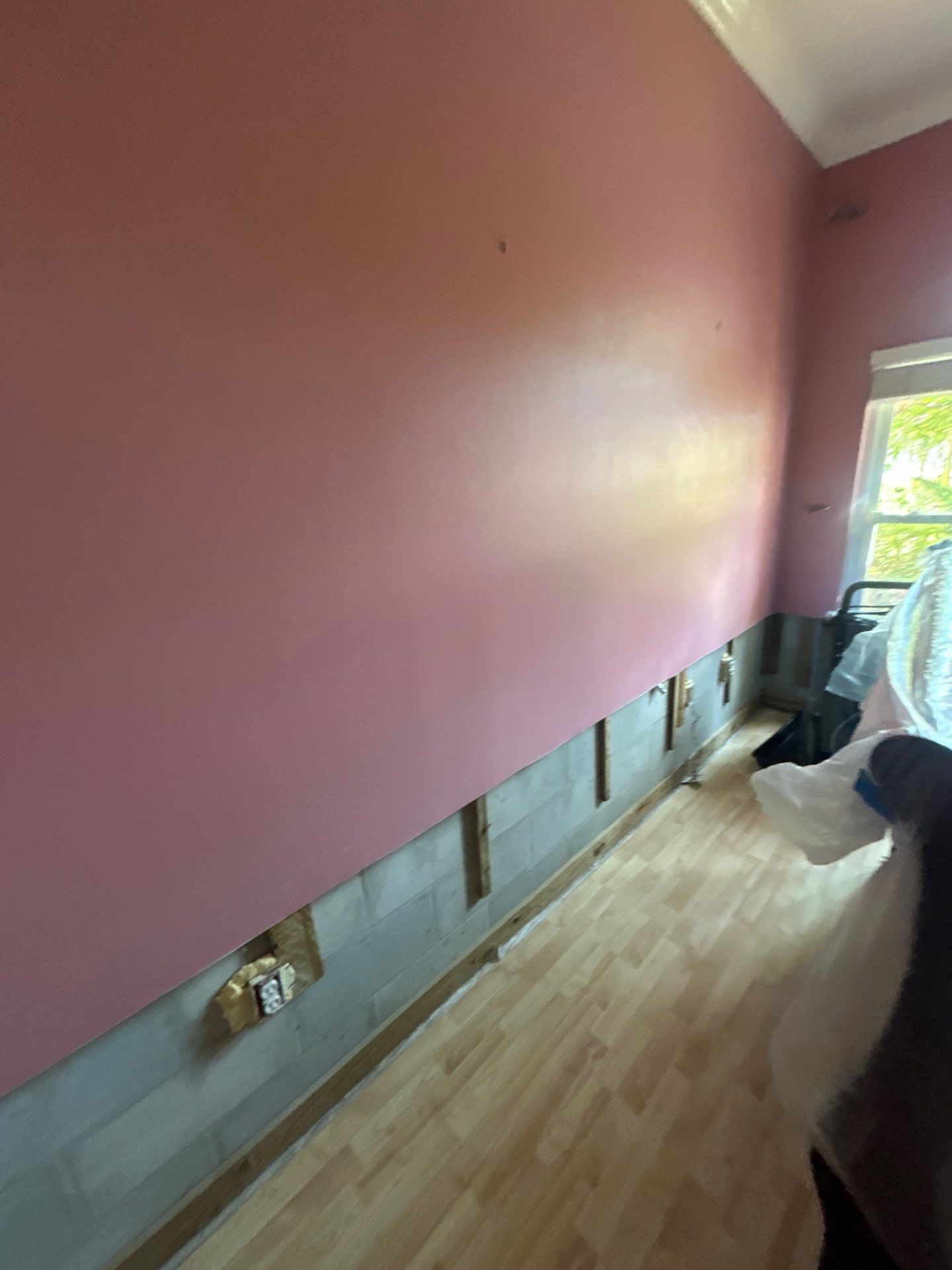 Mold Removal & Remediation  by Ampm Restoration Services 