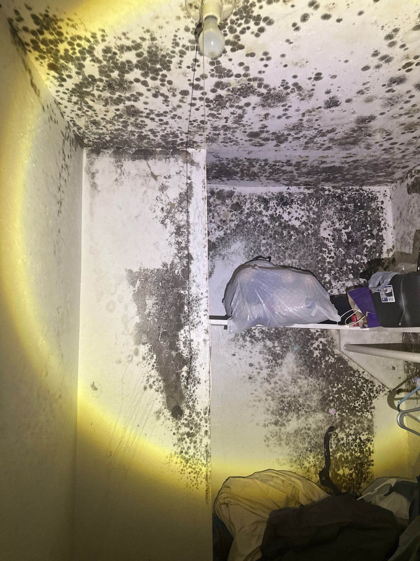 The Slate by Disaster Recovery Consultants