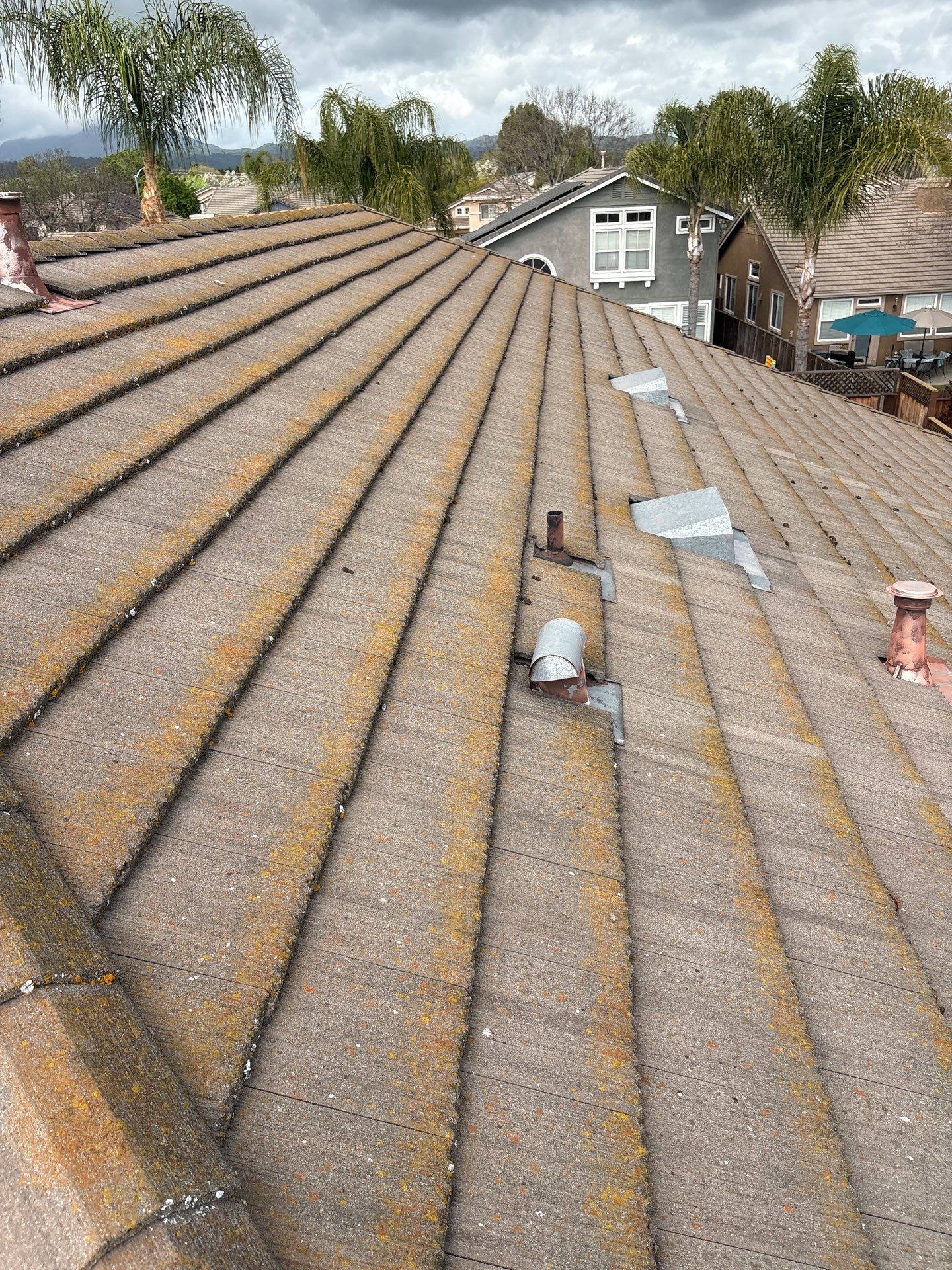 Moss Removal by Top Elevation