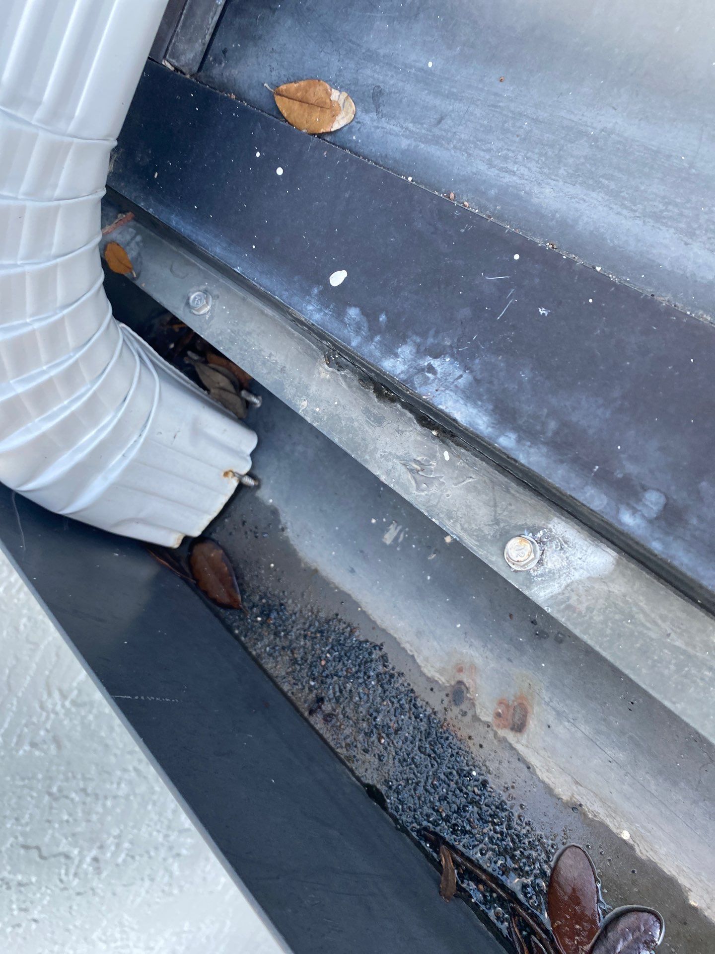 Gutter cleaning all buildings are the same for 6 units in Fort Myers FL by Gutter Professors