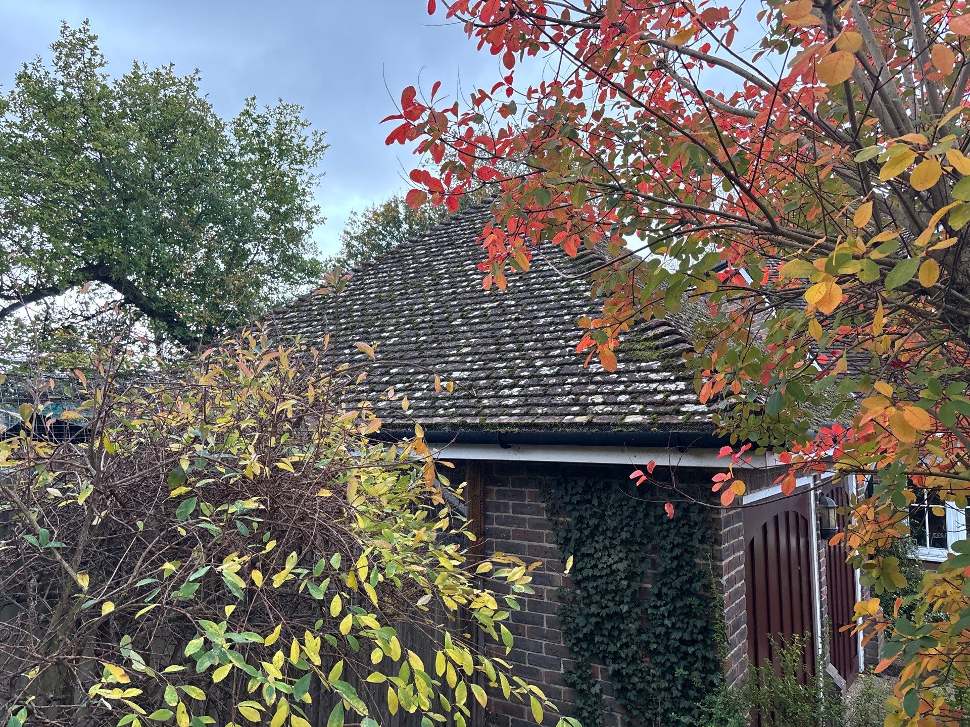 Roof Cleaning by Ges Exterior Cleaning ltd