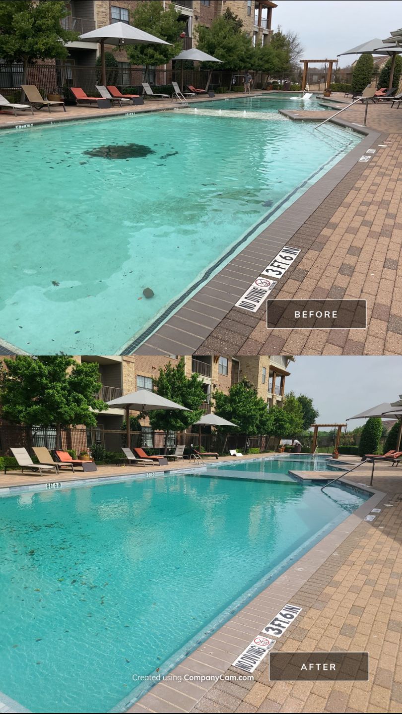 Sorrel Fairview by Sink or Swim Pools