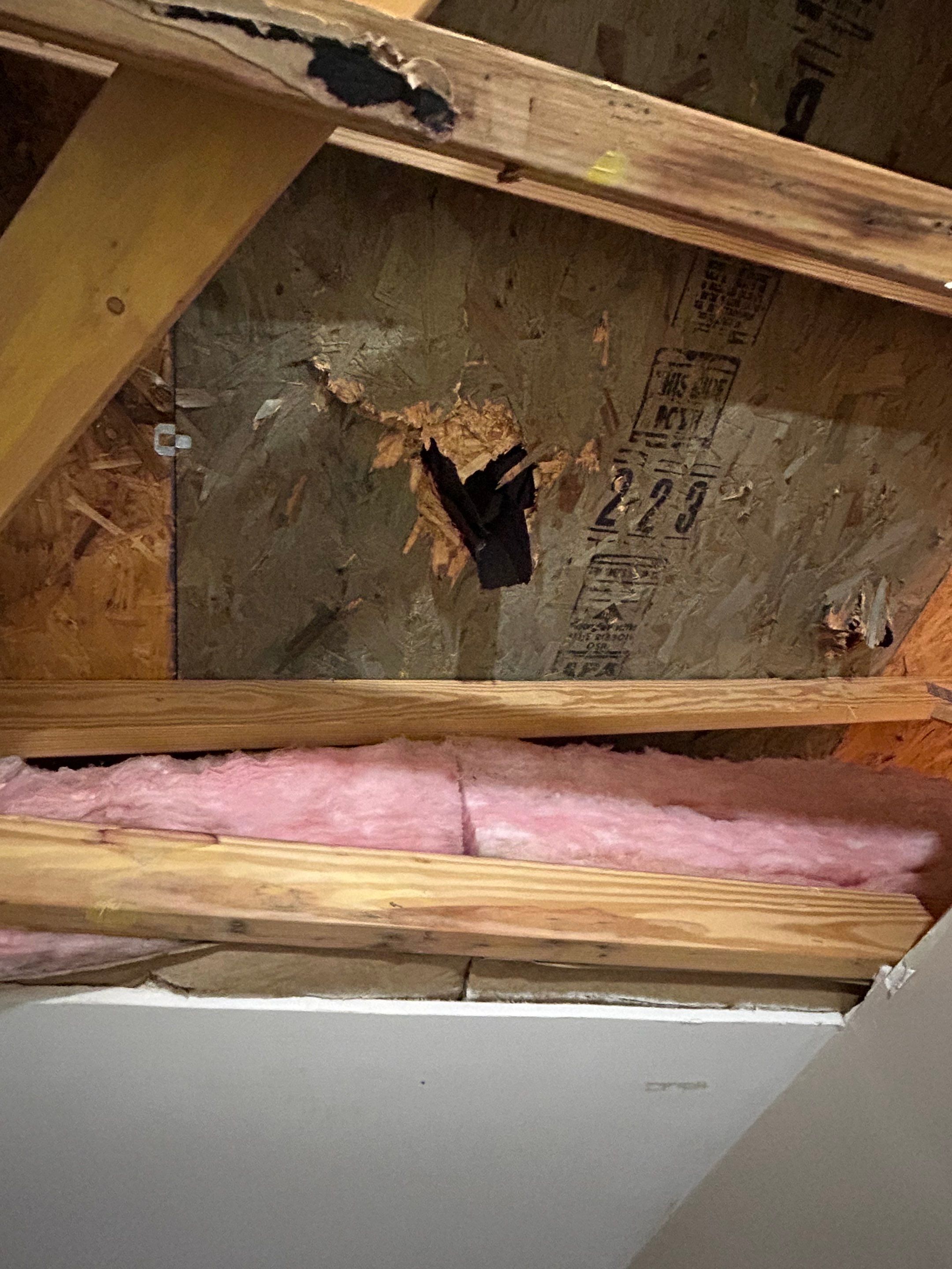 Project in St Leonard by ExteriorPros