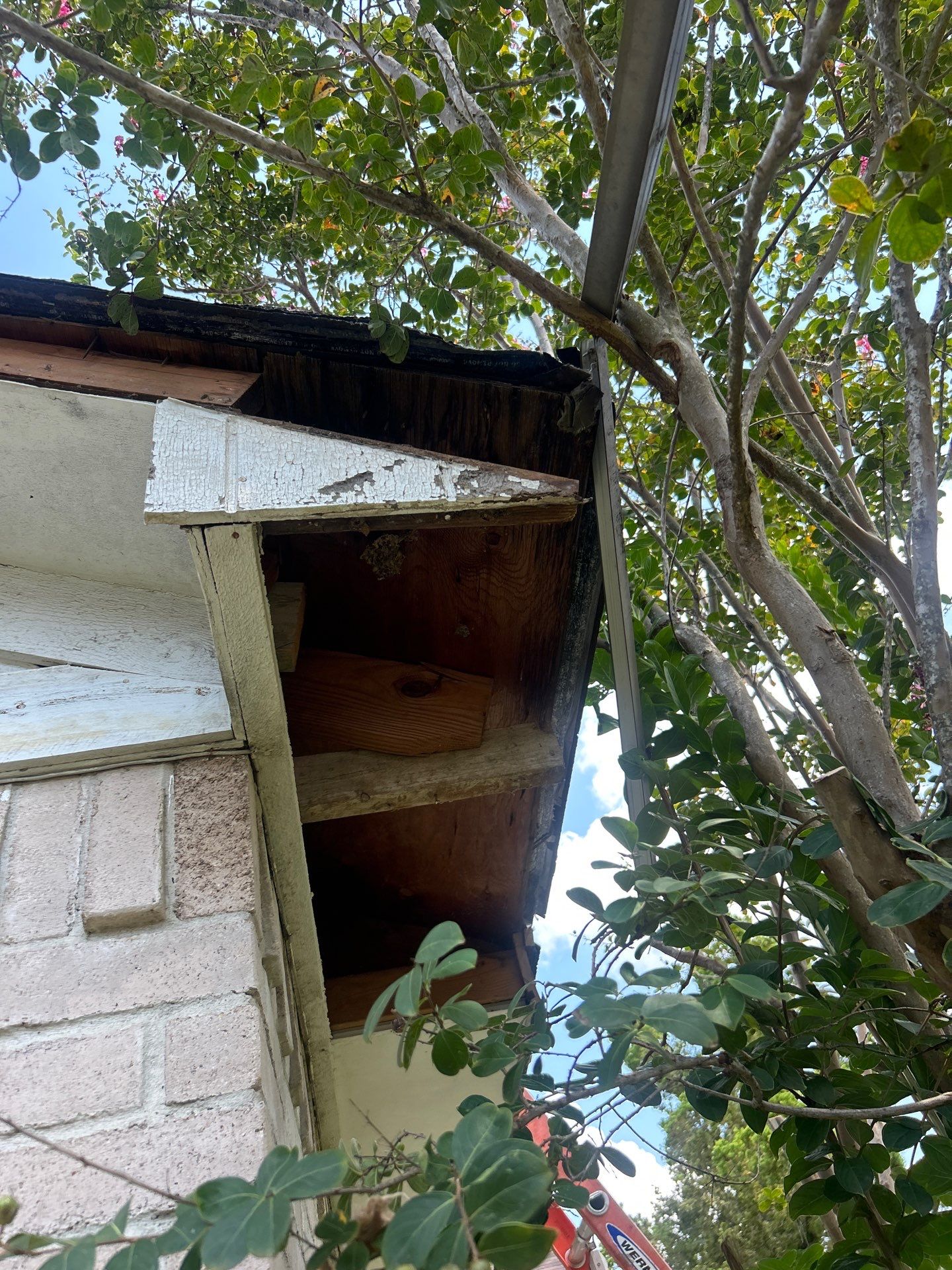 Roof Repair Houston by Roof Repair Services LLC