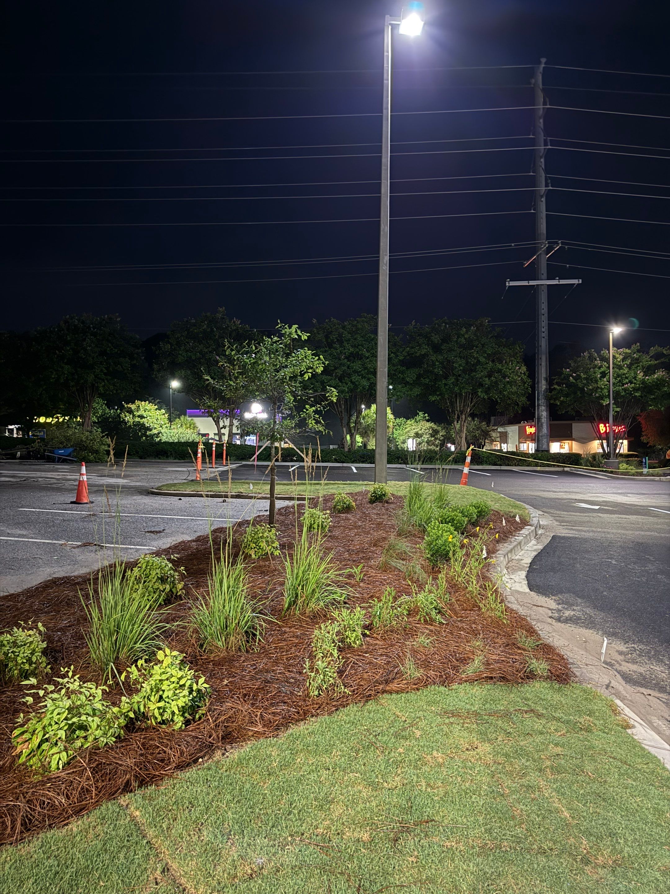 FTB Haribson Bank Project Columbia SC - (Commercial) by Carolina-Metro Landscape, Inc