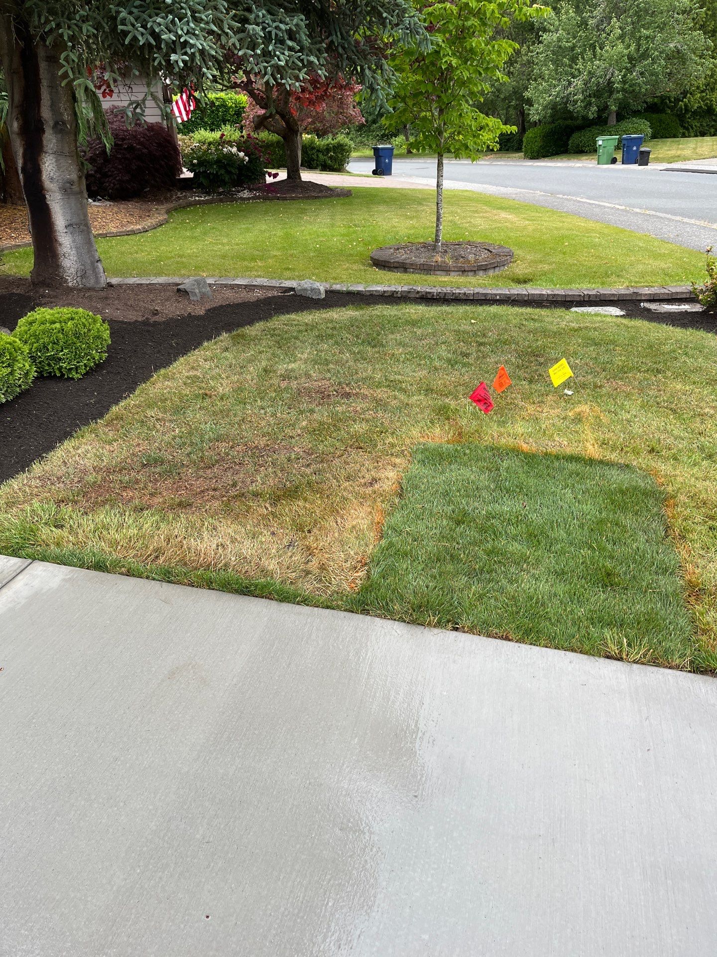 Concrete Driveway Renovation | Snohomish  by Jireh Asphalt & Concrete Inc 