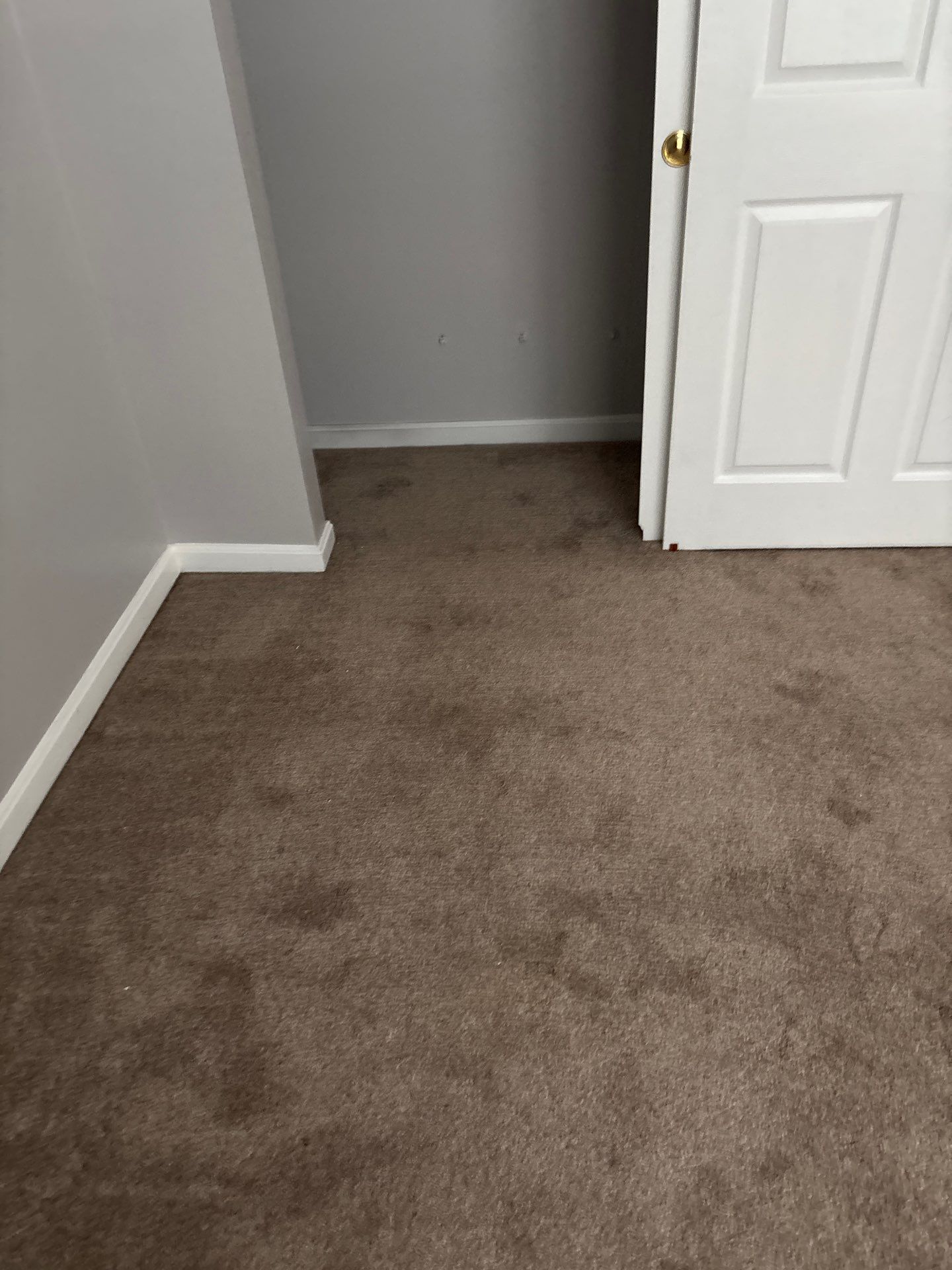 LVP Project in Burlington by Footprints Floors Kentucky