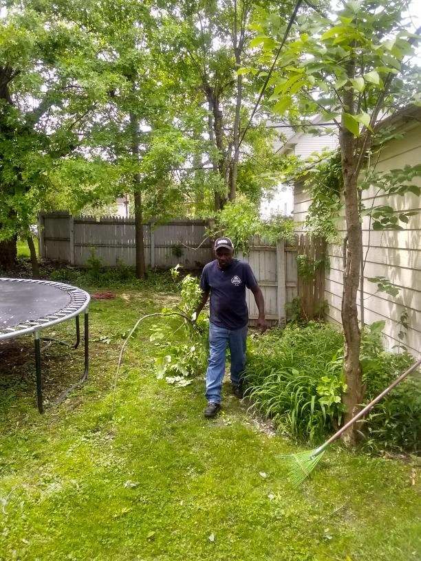 Tree Removal using Tree Removal by Mike Jones & Sons Tree Service LLC 