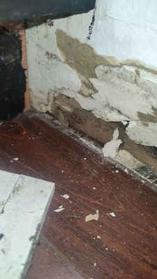 Mold Remediation