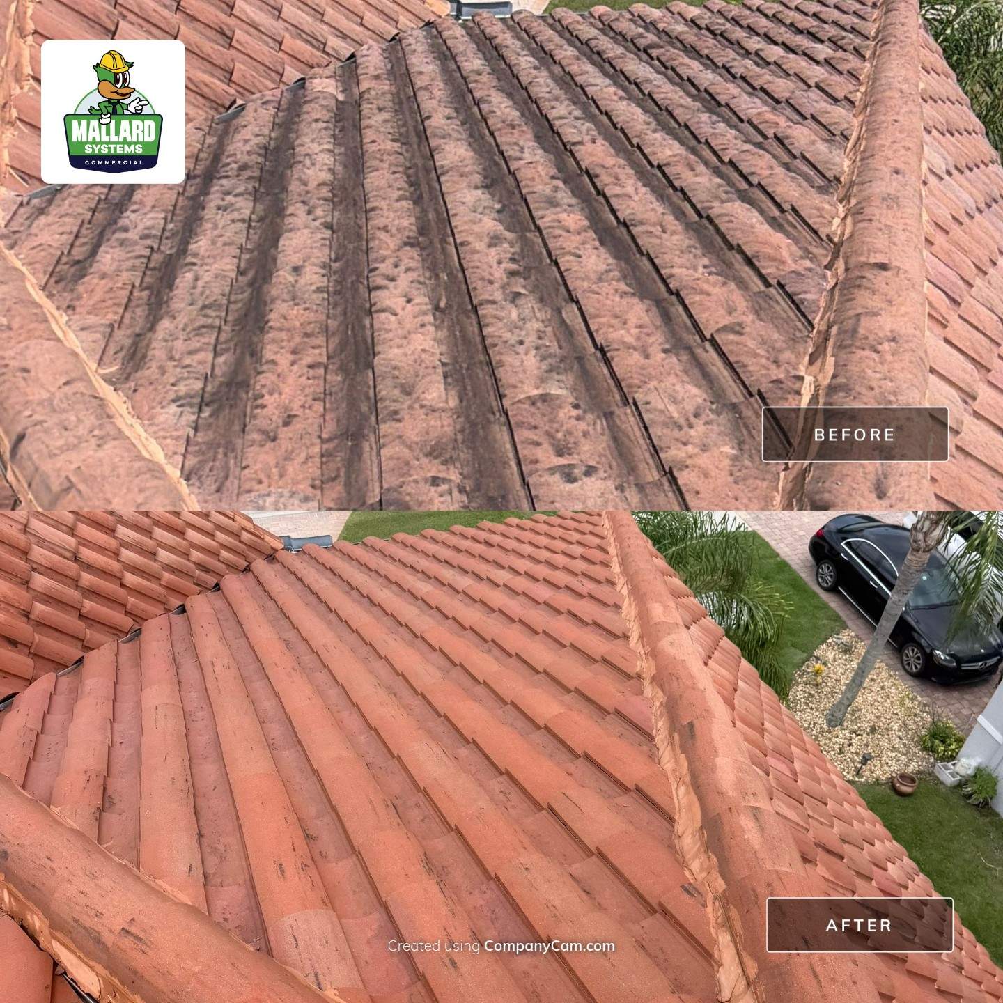 Tile Roof Cleaning and Exterior Soft Wash in Oviedo by Mallard Systems