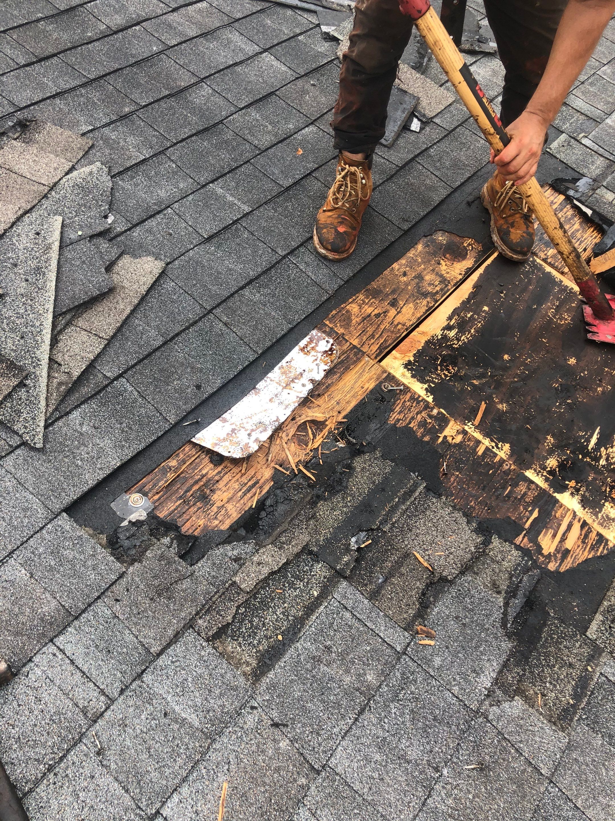Shingle Repair by Durabilis Roofing INC