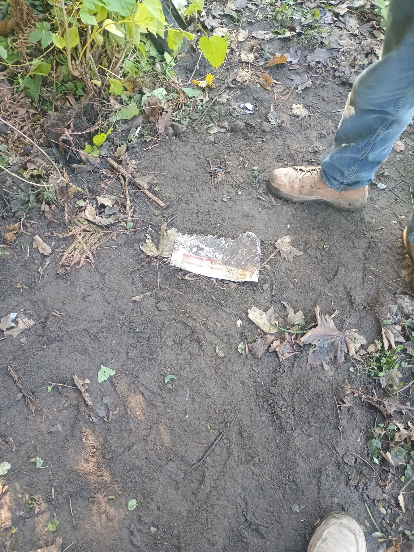 A French Drain for Jeniffer by Waterproofing Northeast