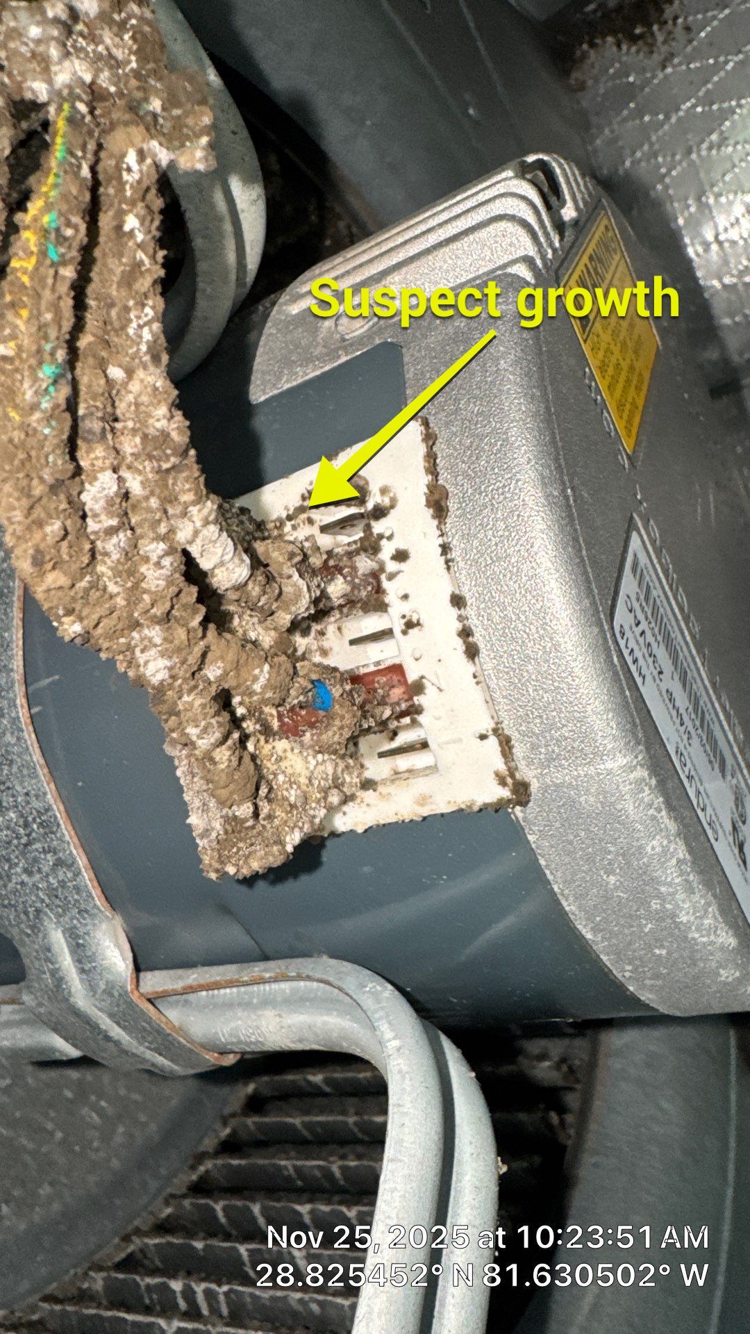 Air Duct Cleaning in Mount Dora by Hygienic Air, Inc