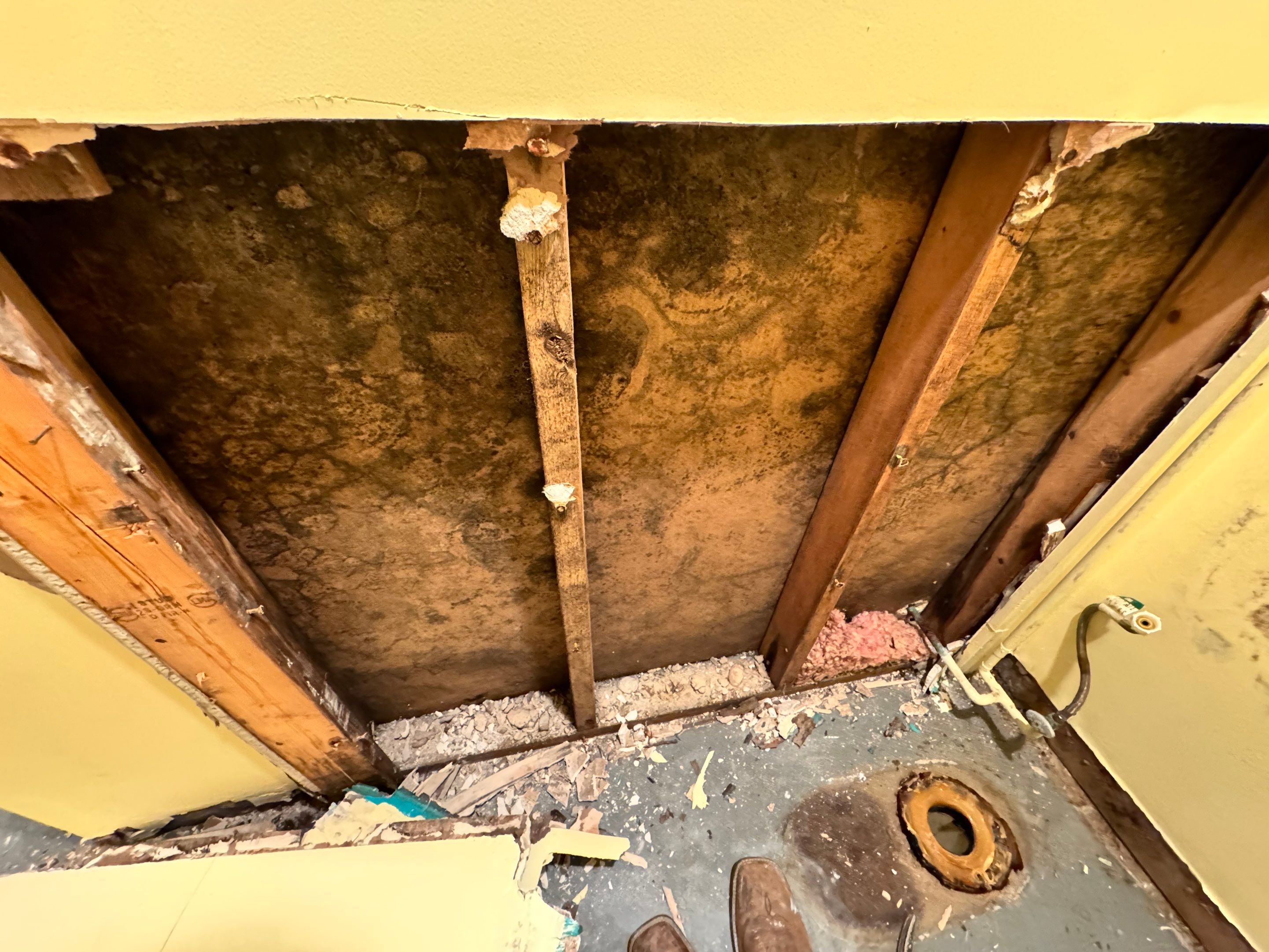 Mold Remediation using Home Guarantee by Home Guarantee, LLC