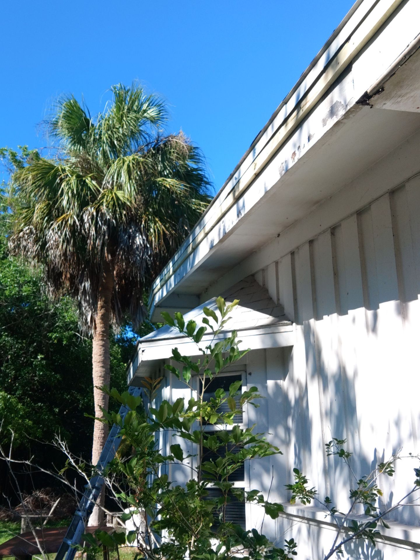 Gutter and Fascia Repair and Maintenance in Siesta Key FL by Gutter Professors