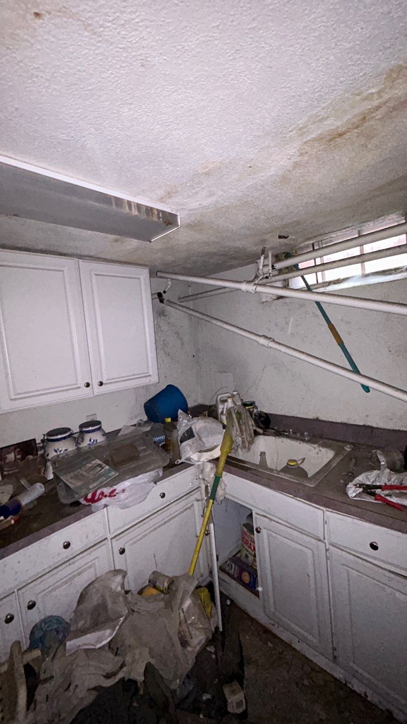 Mold Remediation by Accountable Home Services