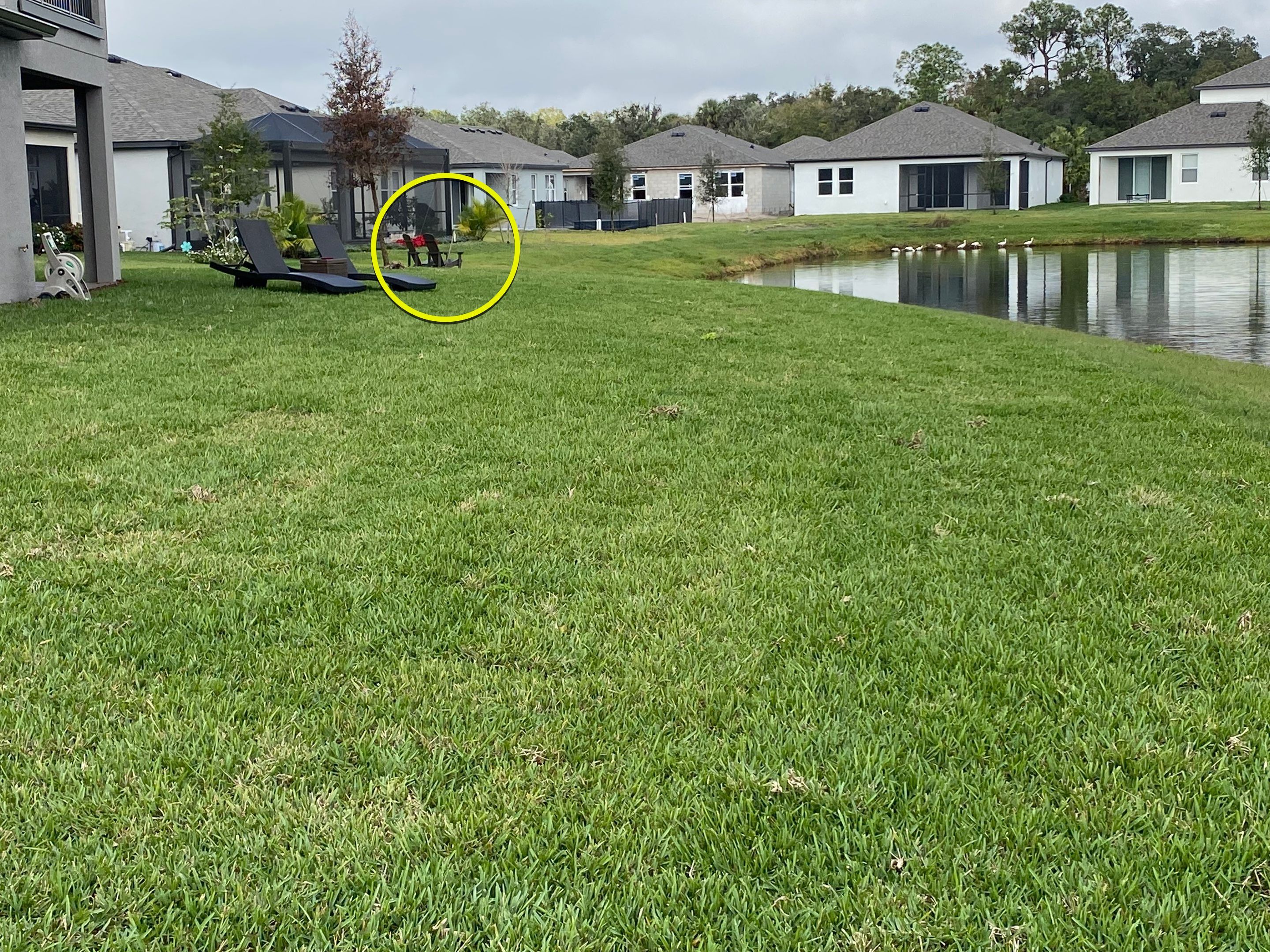 Parrish, FL 4 ft. Tall 3-Rail Black Aluminum  by Asap fence and gates, LLC