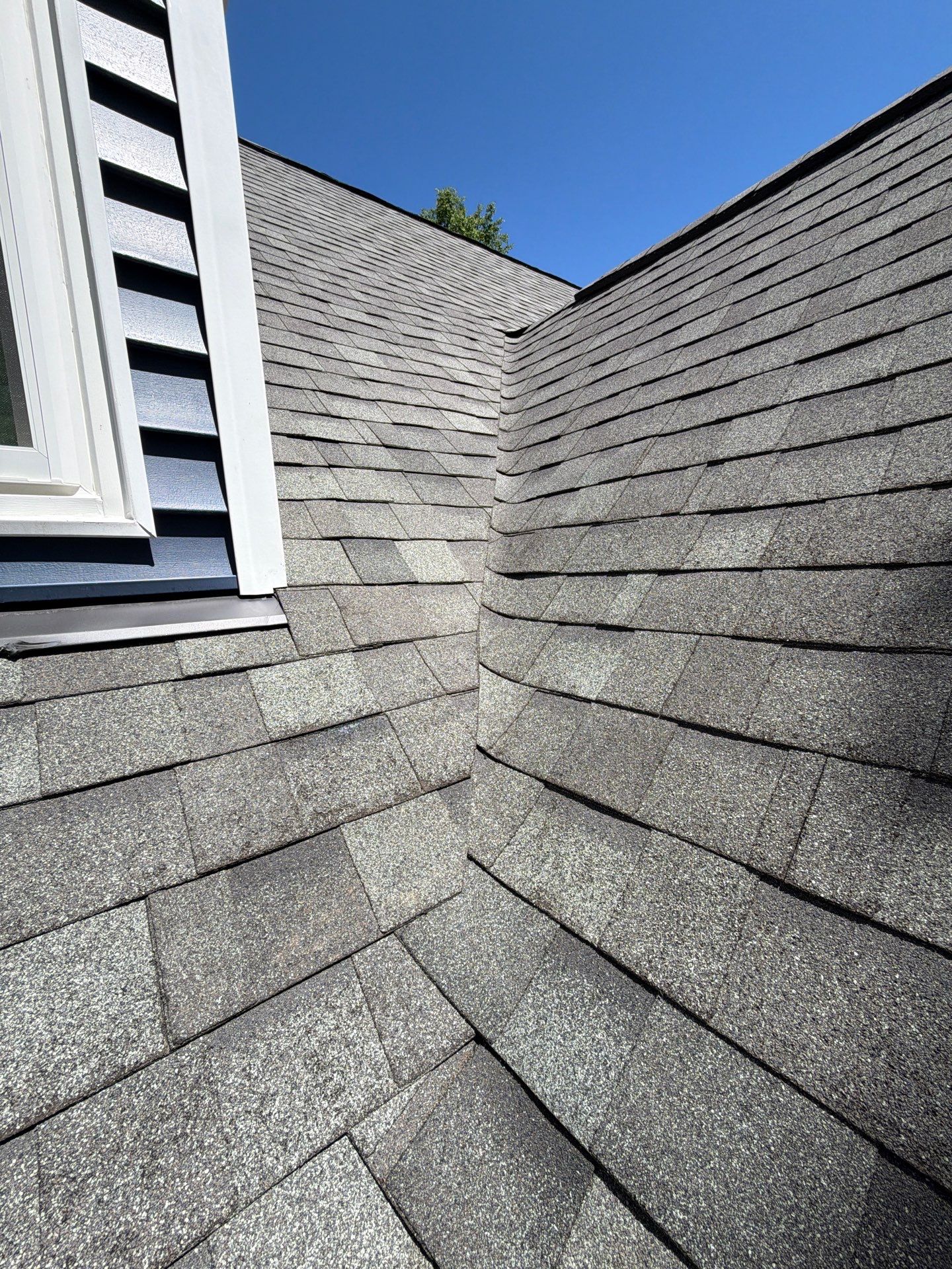 Gloucester Exterior Overhaul with Navy Blue Siding and New Roof by Cade Construction