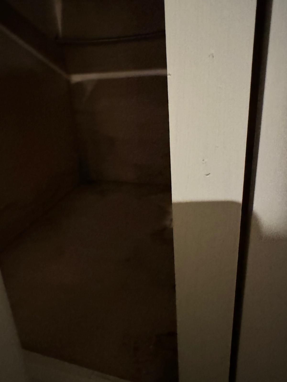 Interior French Drain Basking Ridge NJ by Pure Service Pro, LLC 