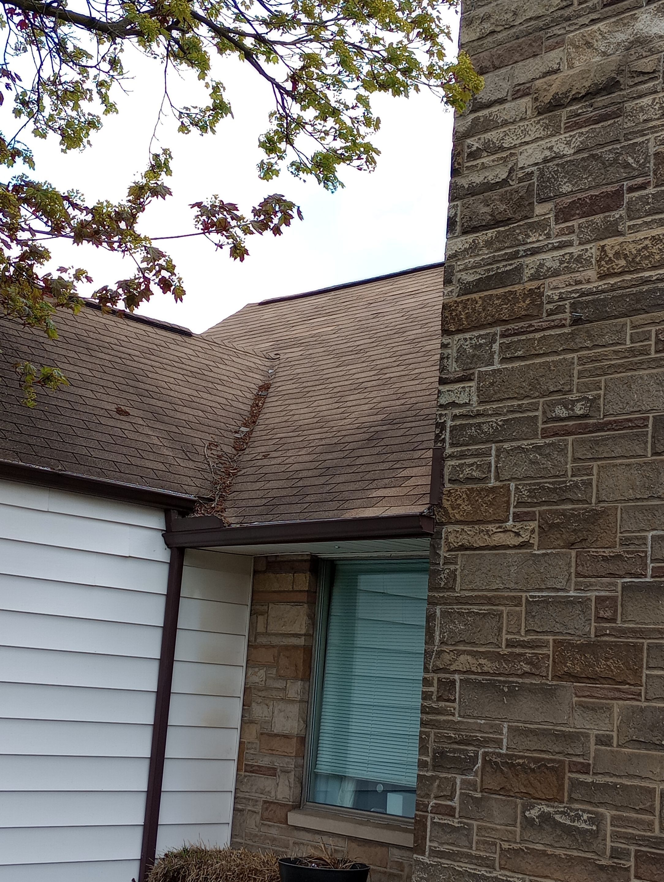 Joy Neal by Silver Leaf Contracting 