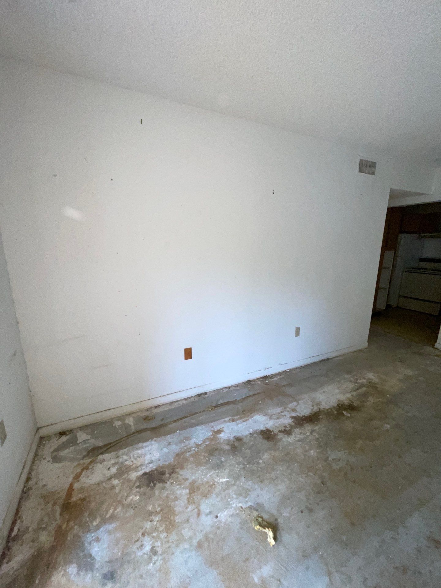 Horder house with Mold and Bacterial Contamination Issues  by Bay Coast Restoration 