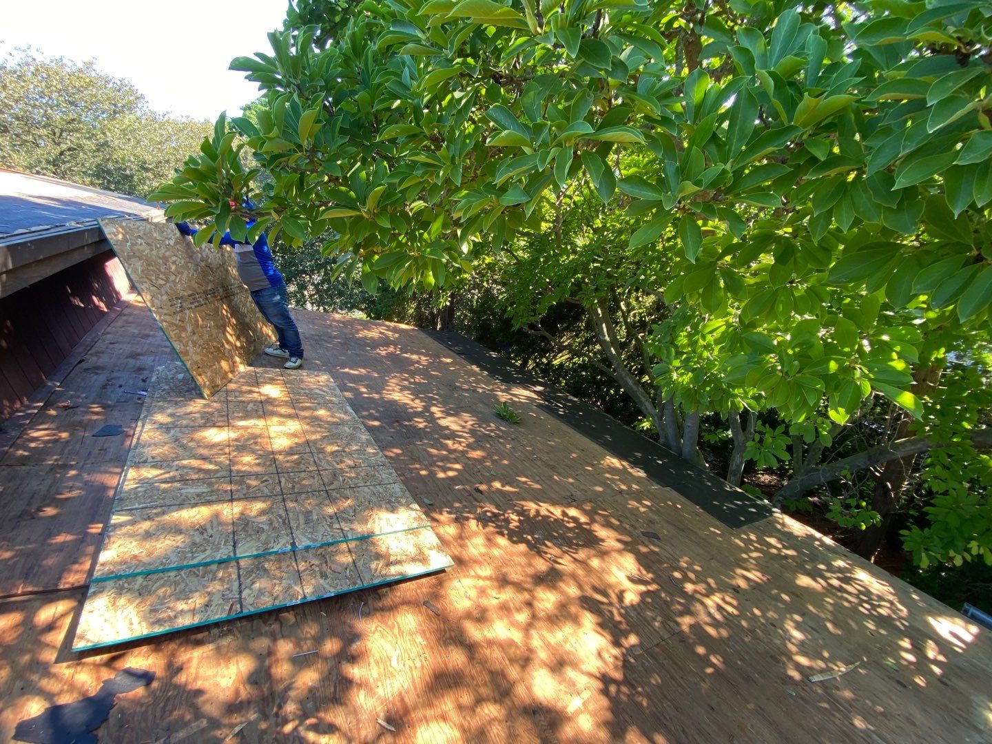 Roof Replacement using CertainTeed Landmark by 180 Contractors
