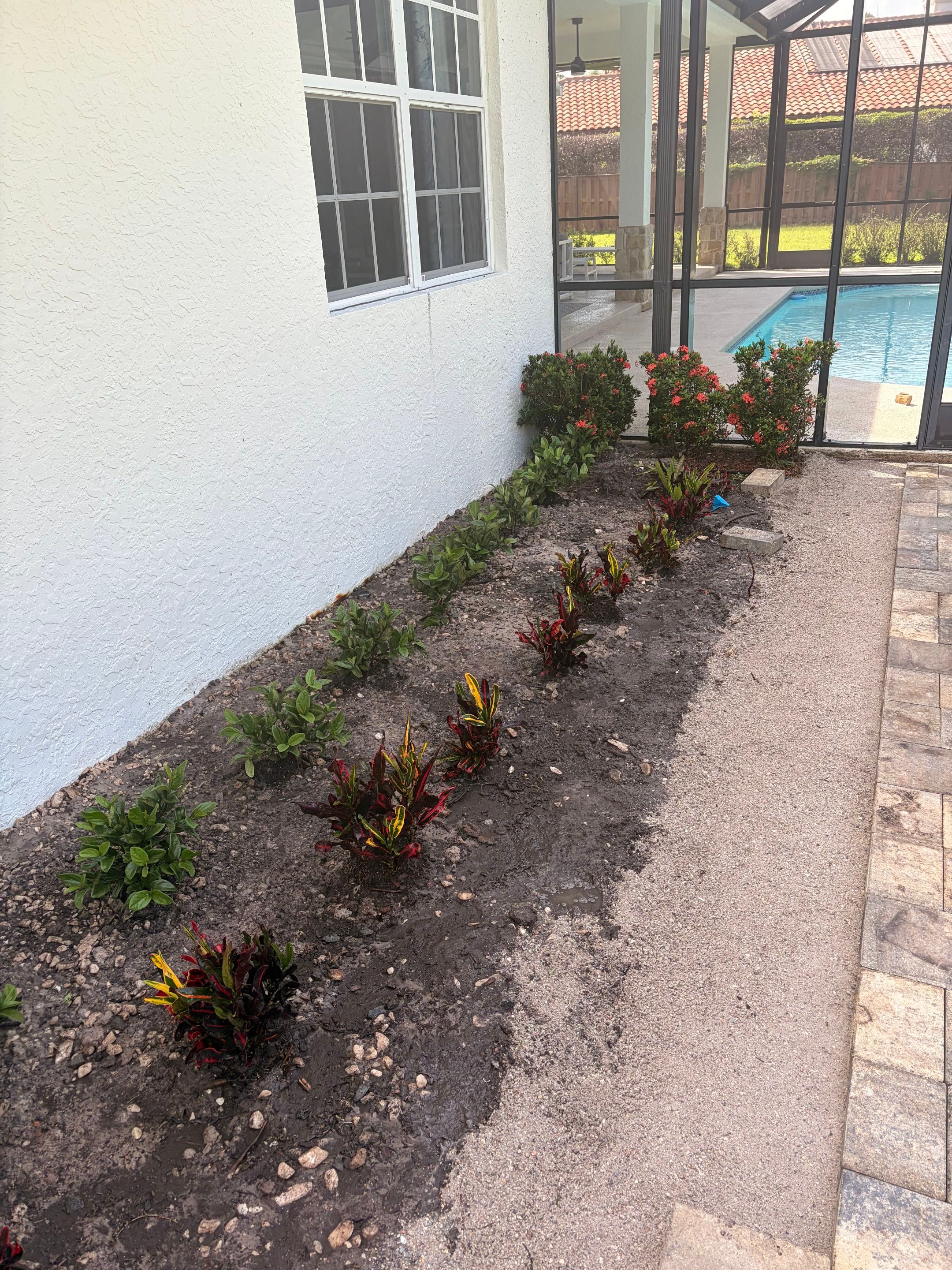 🌿✨ From Problem Areas to Paradise in Palm City! 🏡💧🌴 by Alpha Zeta Enterprises Inc