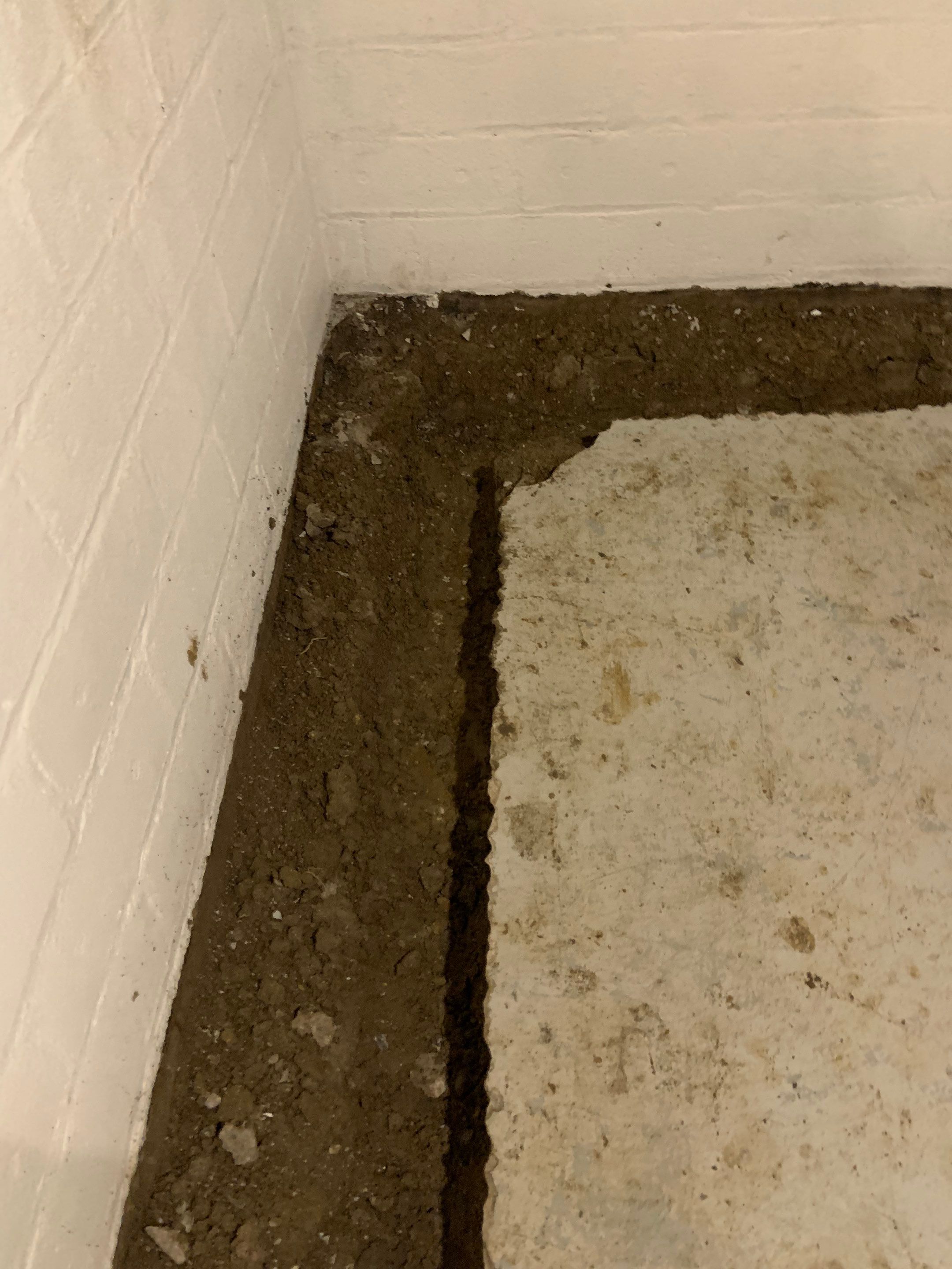 Earning Christine’s Trust in Her Forever Home by Waterproofing Northeast